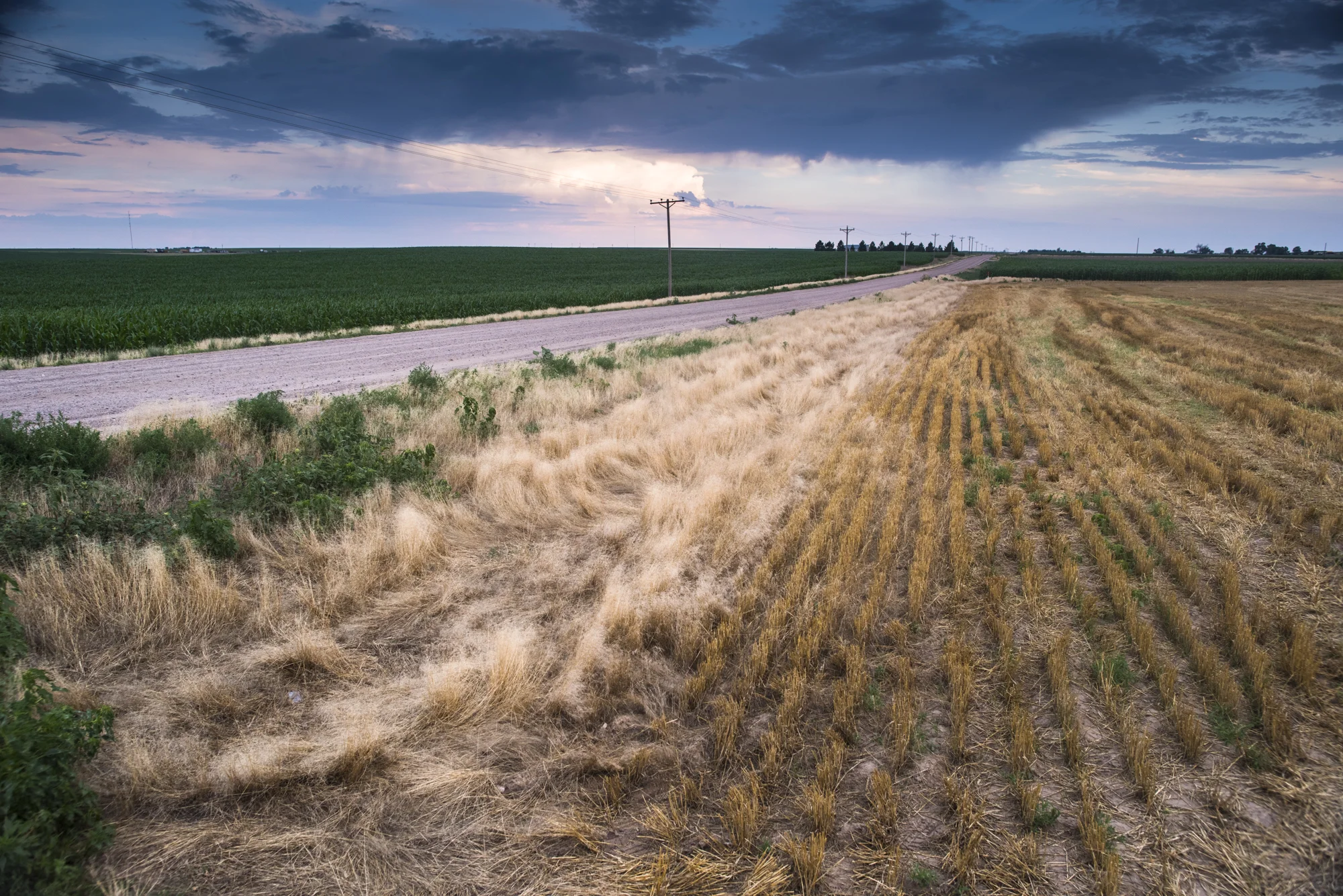 Colorado - 2018