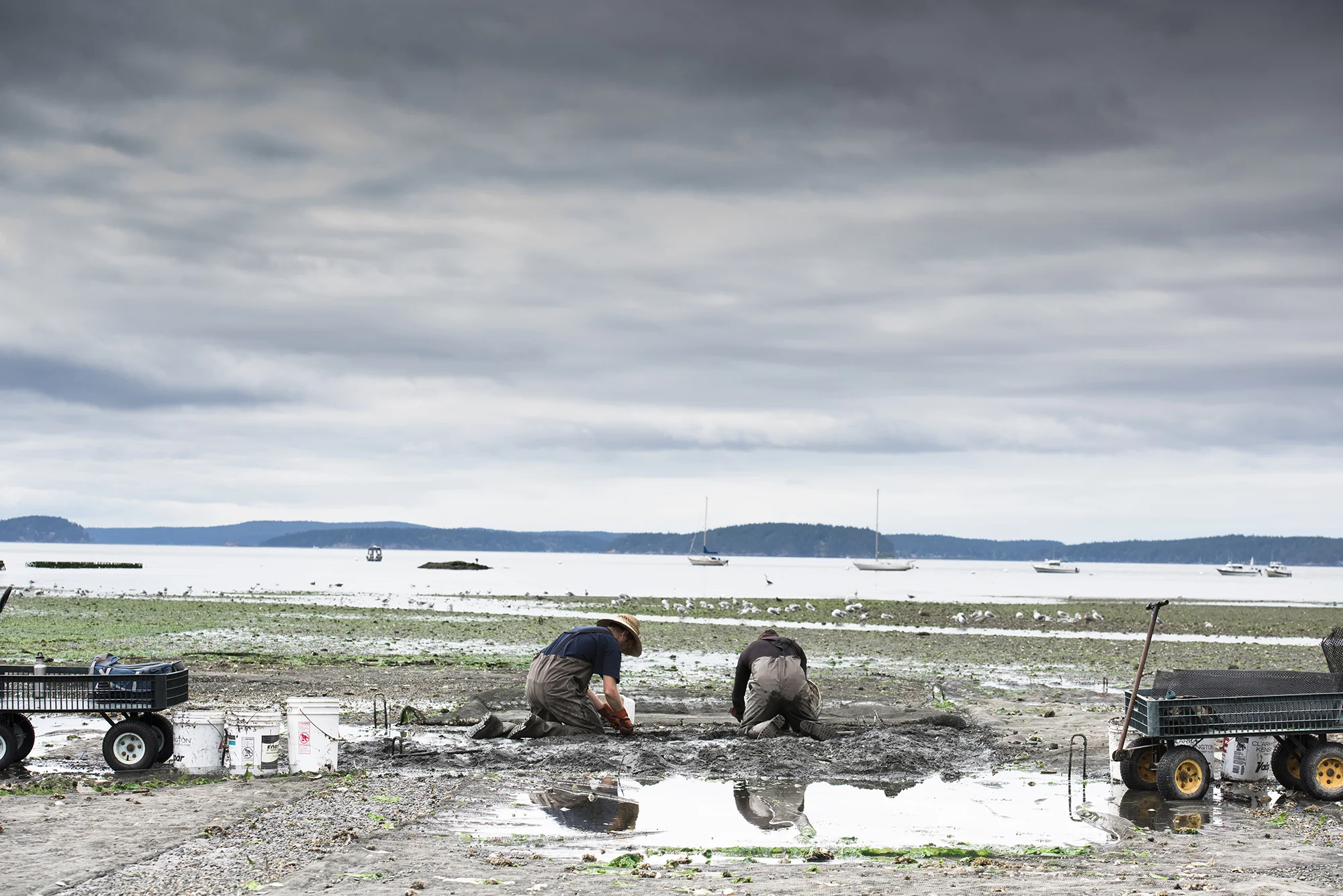Orcas Island, Washington