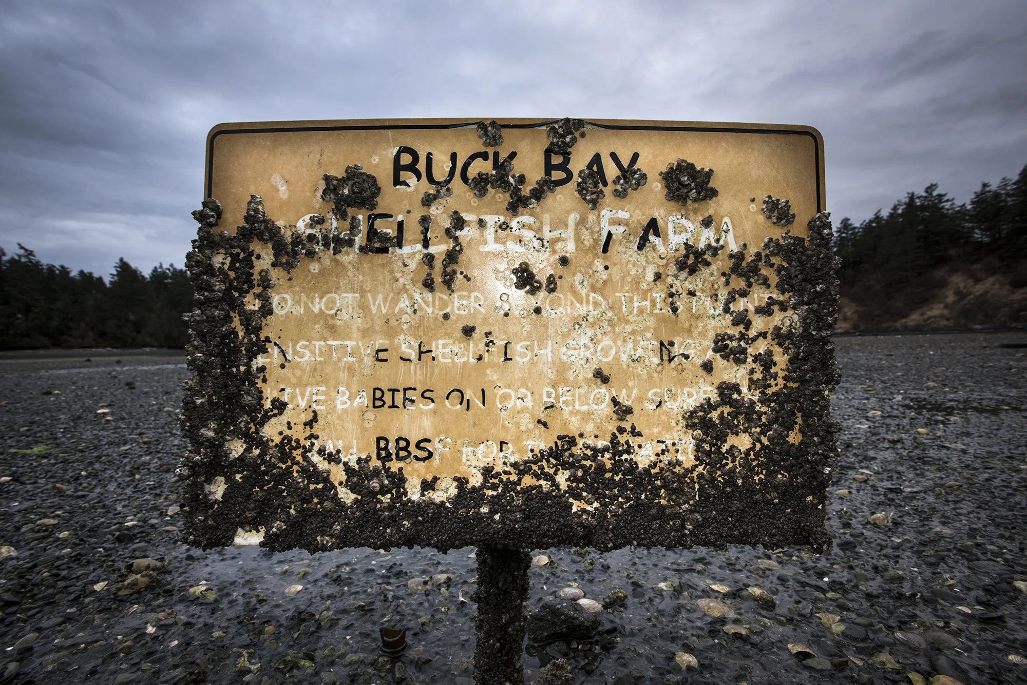 Orcas Island, Washington