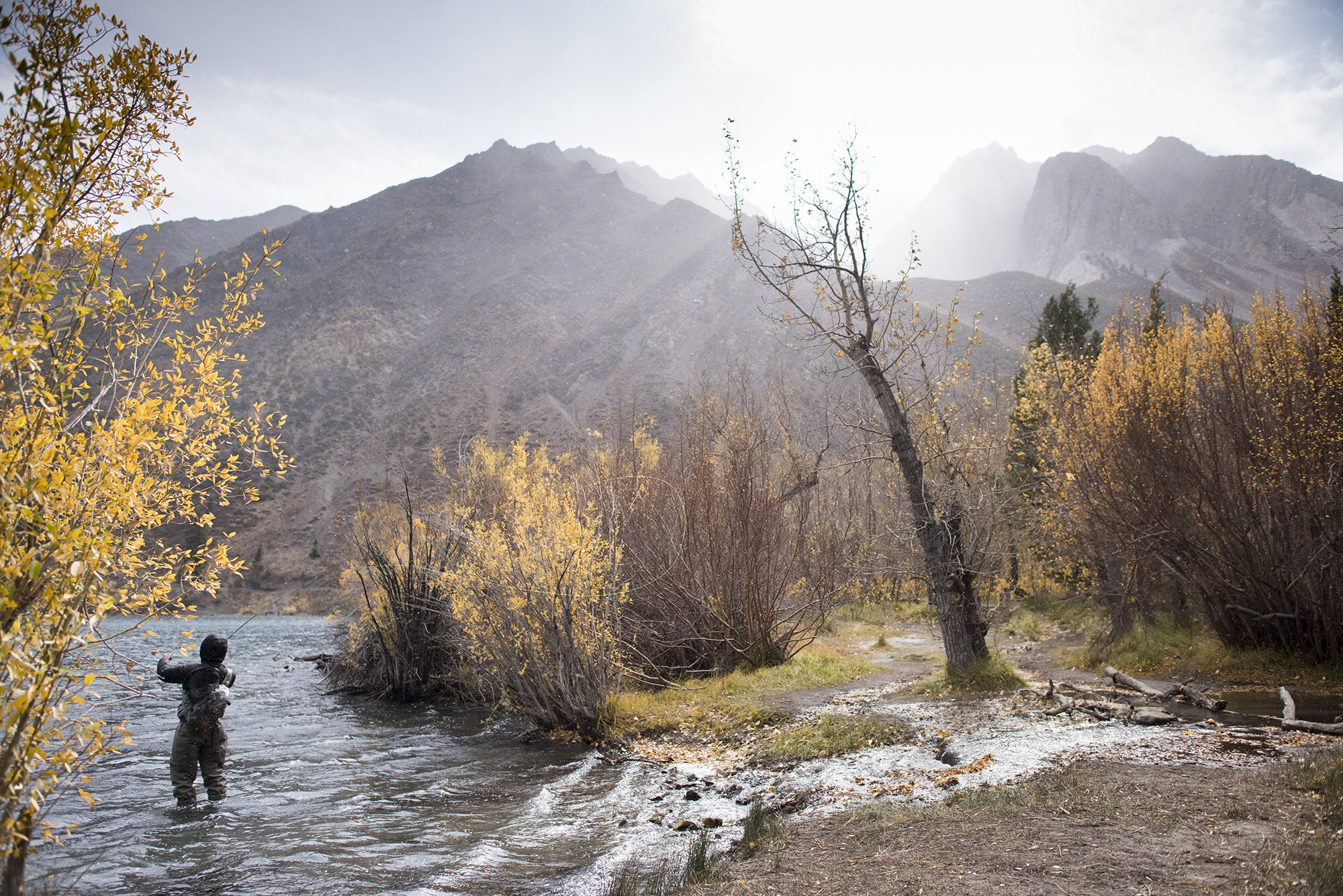  Fall fly fishing near Mammoth Lakes, CA.  