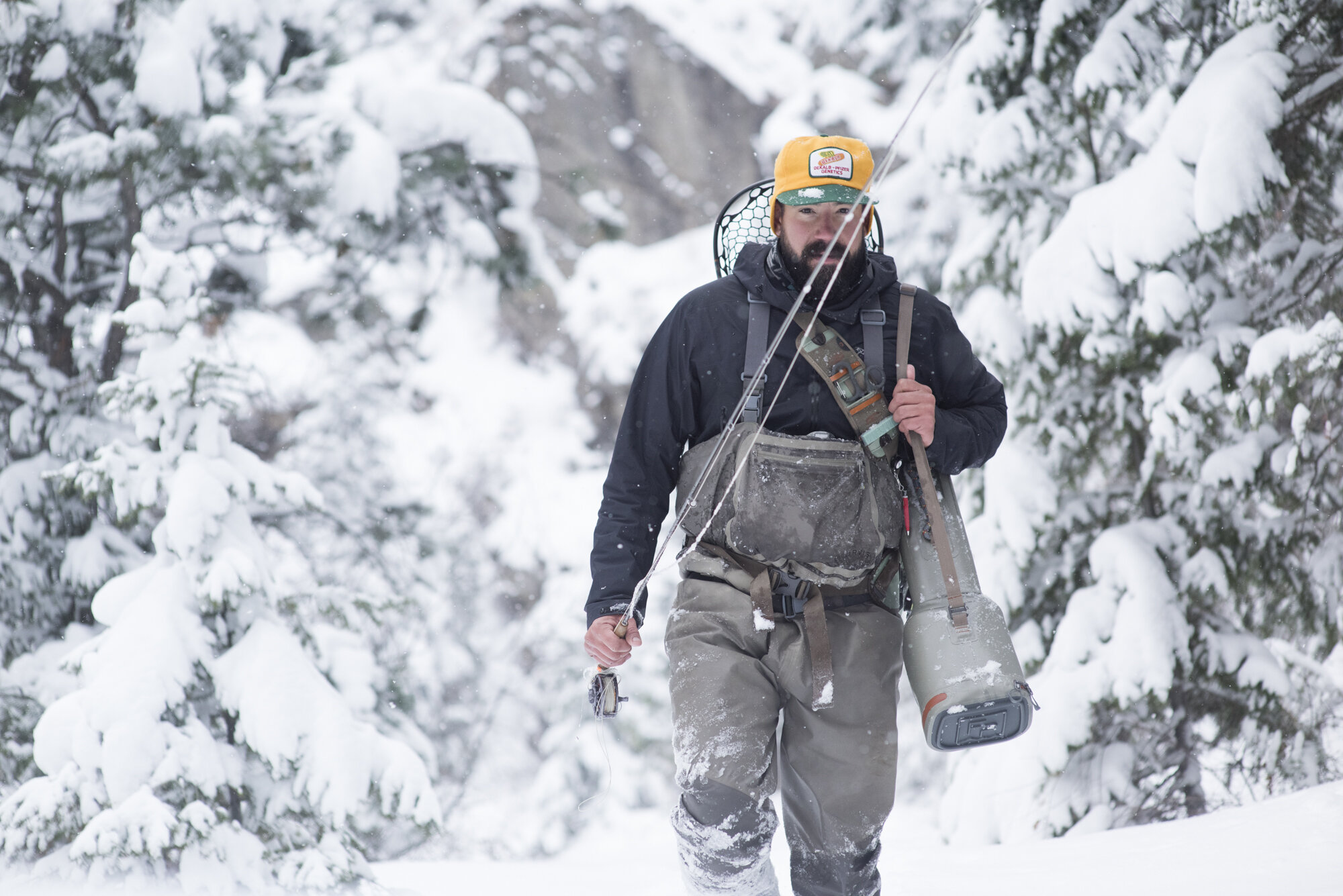  A fly fisherman walking through a snow covered forest in Colorado.  