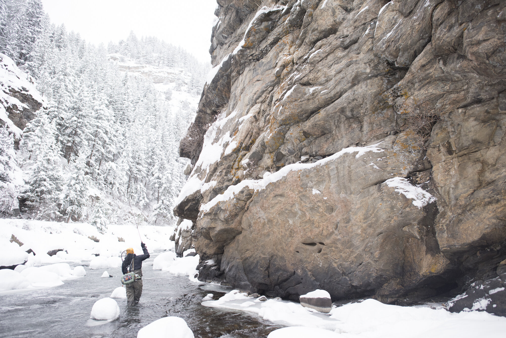  A fly fisherman standing in a river at the bottom of a snowy canyon in Colorado.  