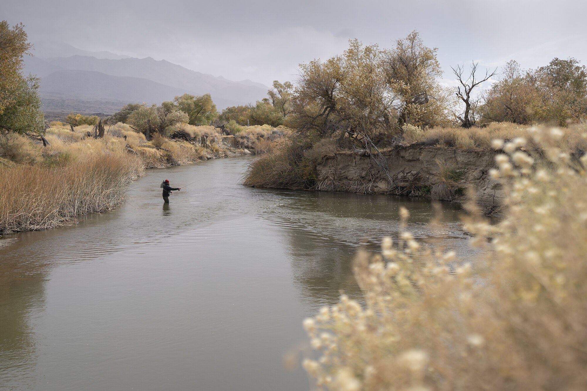 Winter fly fishing on the Owens River 