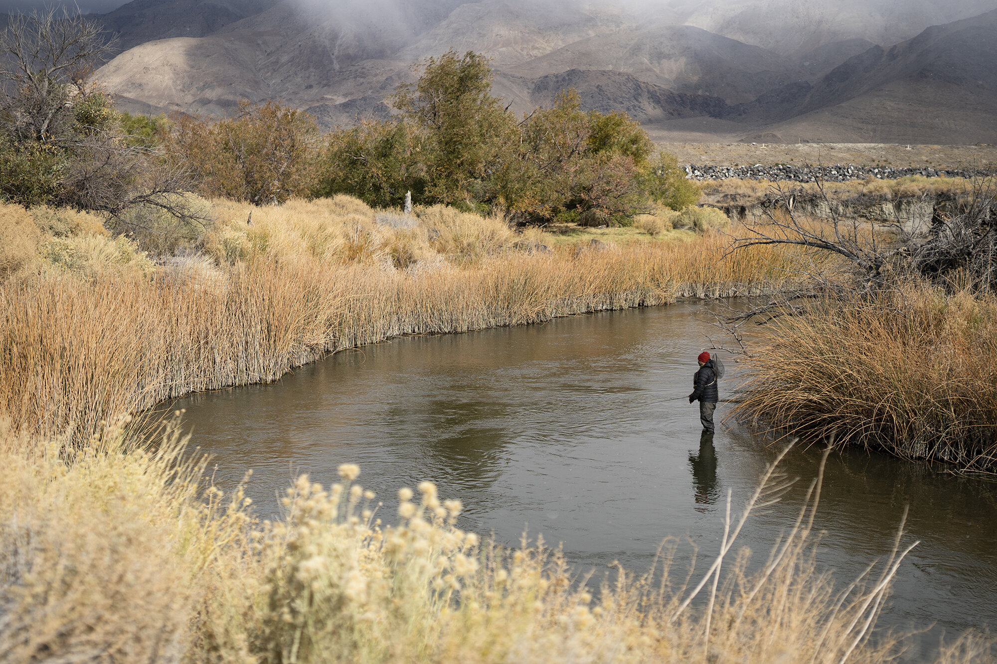 Fly fishing the Owens River 
