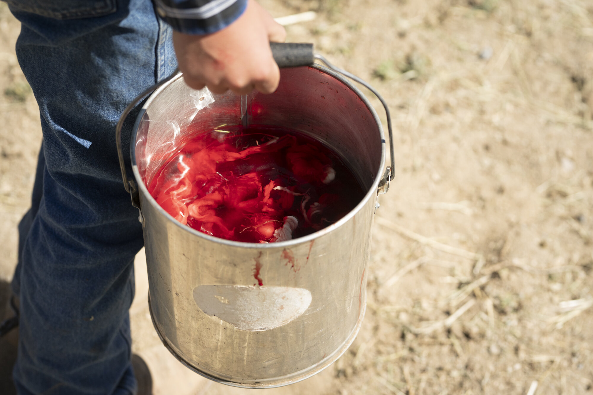 Cattlebranding-09559.jpg