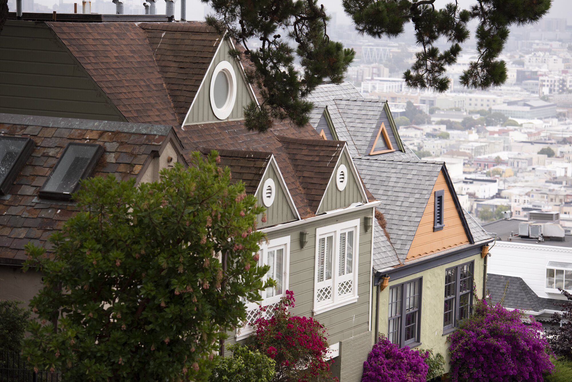  Photograph of unique houses in a wealthy section of San Francisco, CA  
