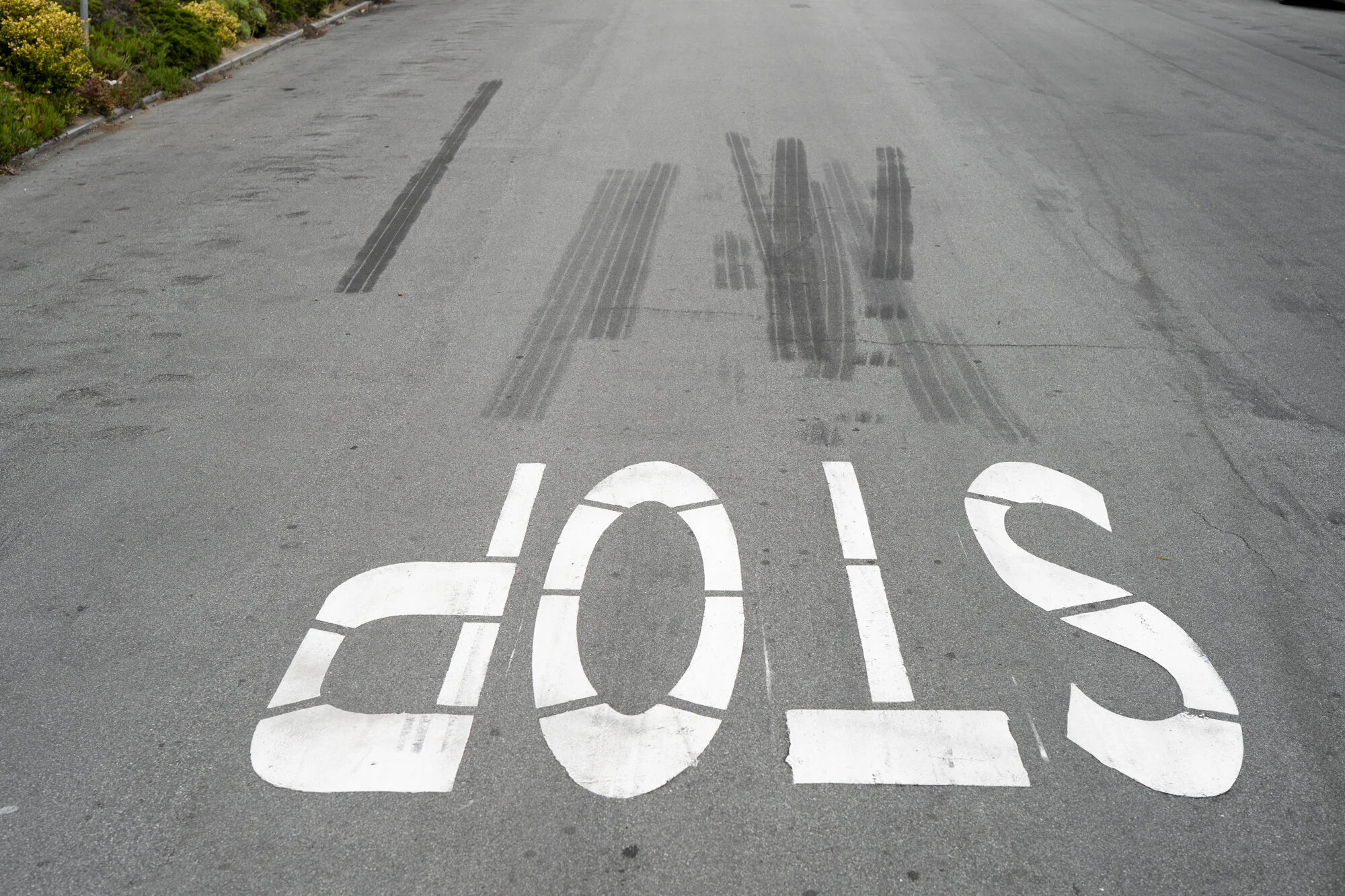  Photograph of tire skid marks on a hilly street in San Francisco, Ca 