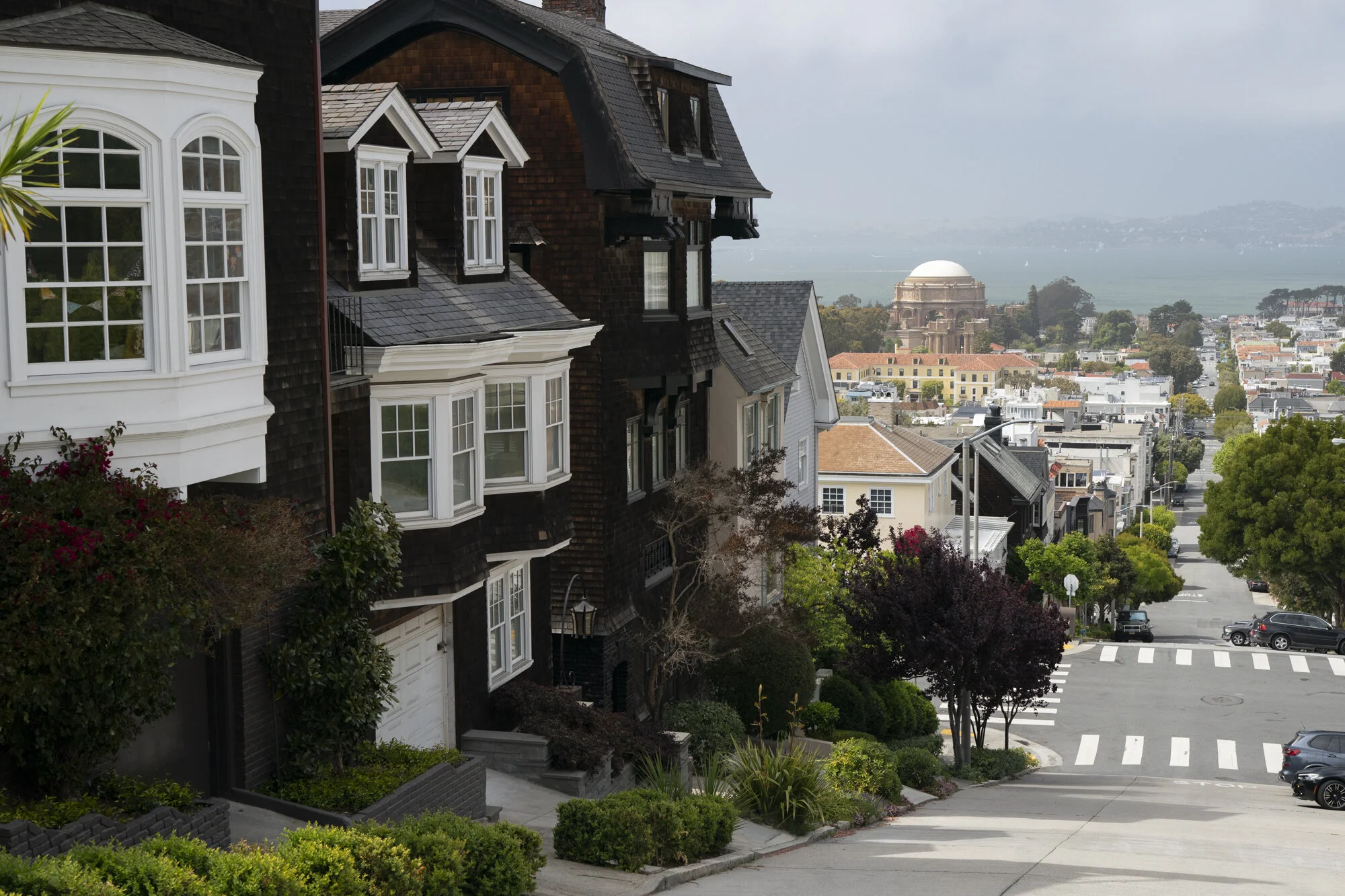  Photograph looking over San Francisco from the Pacific Heights neighborhood  