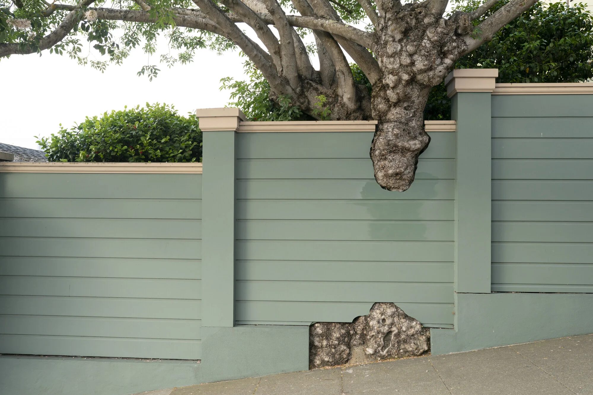  Photograph of the Pacific Heights neighborhood in San Francisco, California  