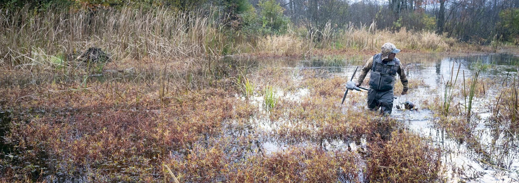  Photograph of a duck hunter carrying a Mojo through a colorful march - Waterfowl Hunting - Culture - Lifestyle - Duck hunting photography  
