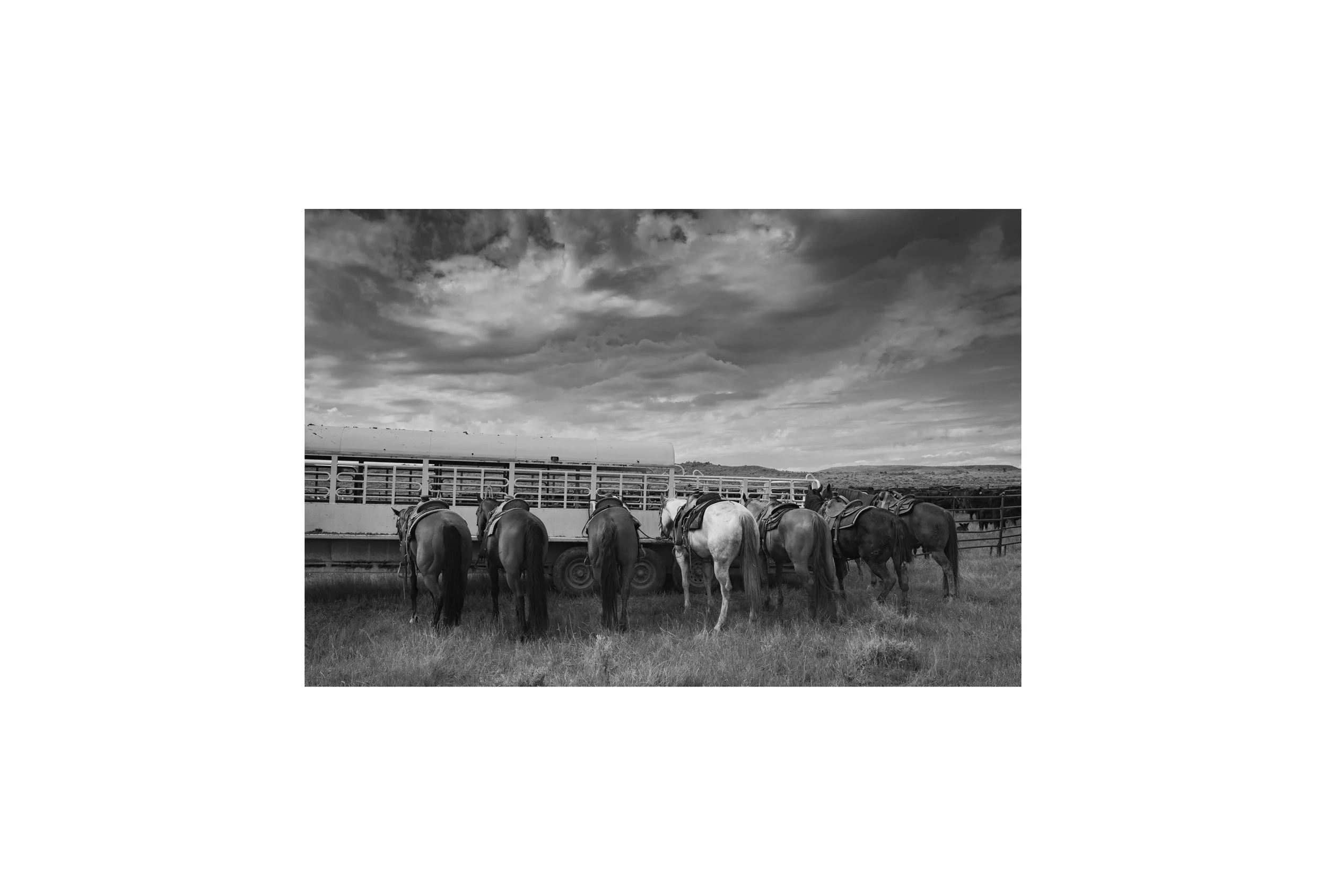 Black and white cowboy photography print - Montana Cattle Ranch - Horse - American West Wall Art Gift - Cowboy