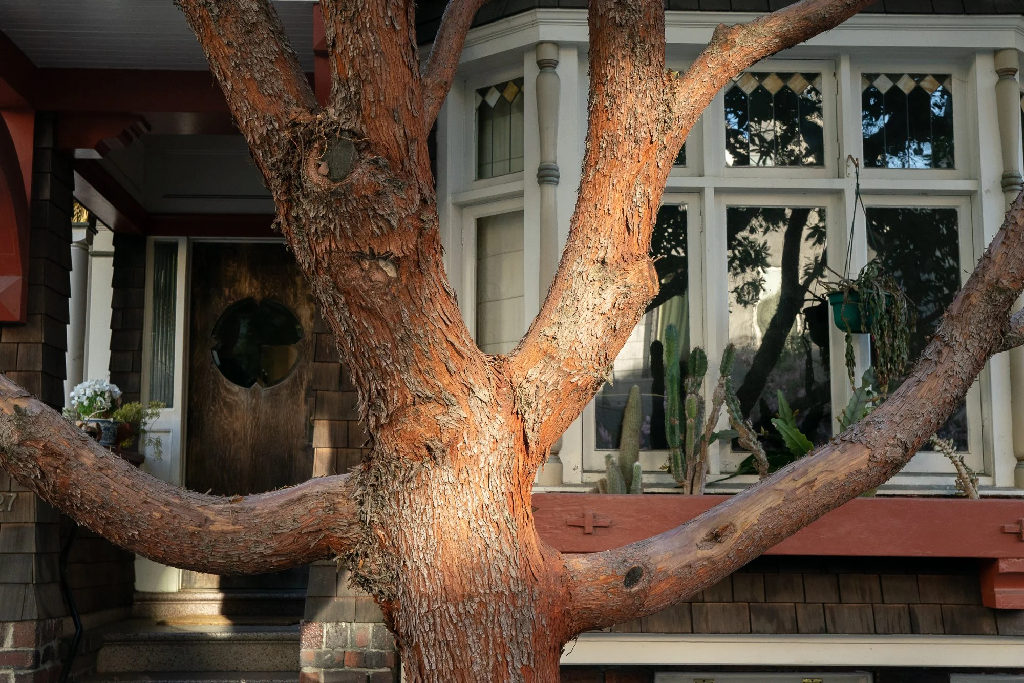  Street photography from the neighborhoods of San Francisco, California by Rob Hammer 