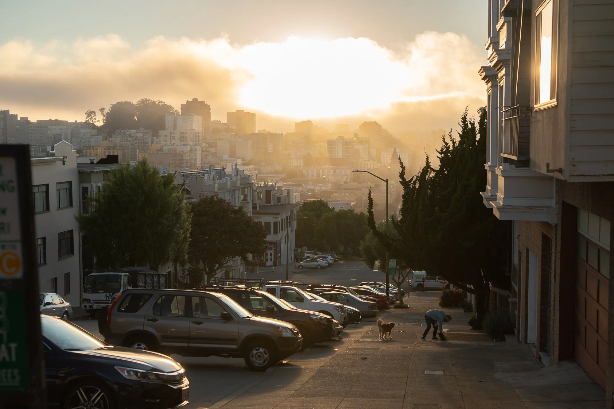  San Francisco Street Photography - a man walking his dog on the streets of San Francisco, California  