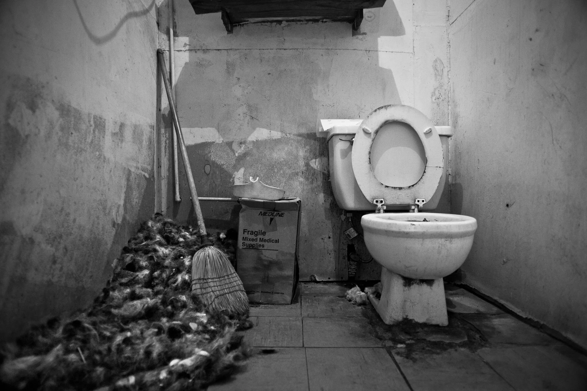  Black and white photograph of a pile of hair on the bathroom floor of an old barbershop  