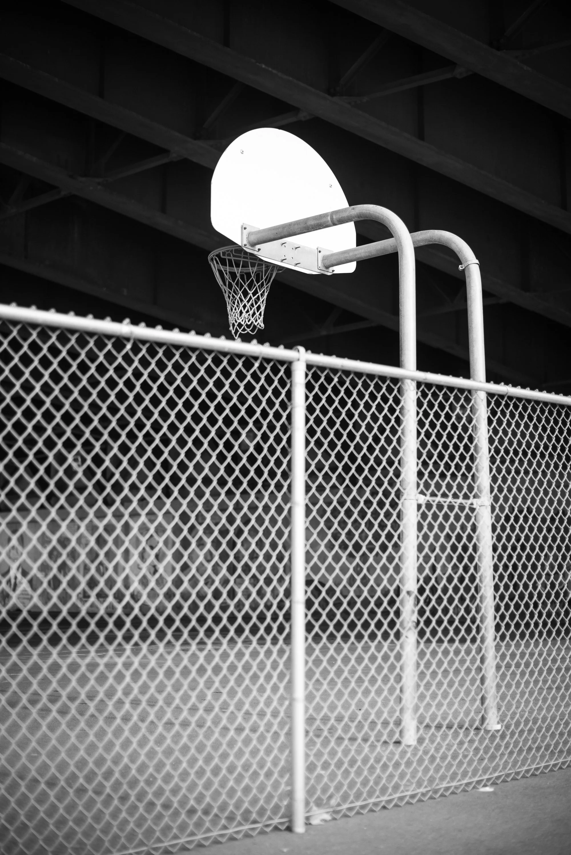 Troy-Basketball-3013.jpg