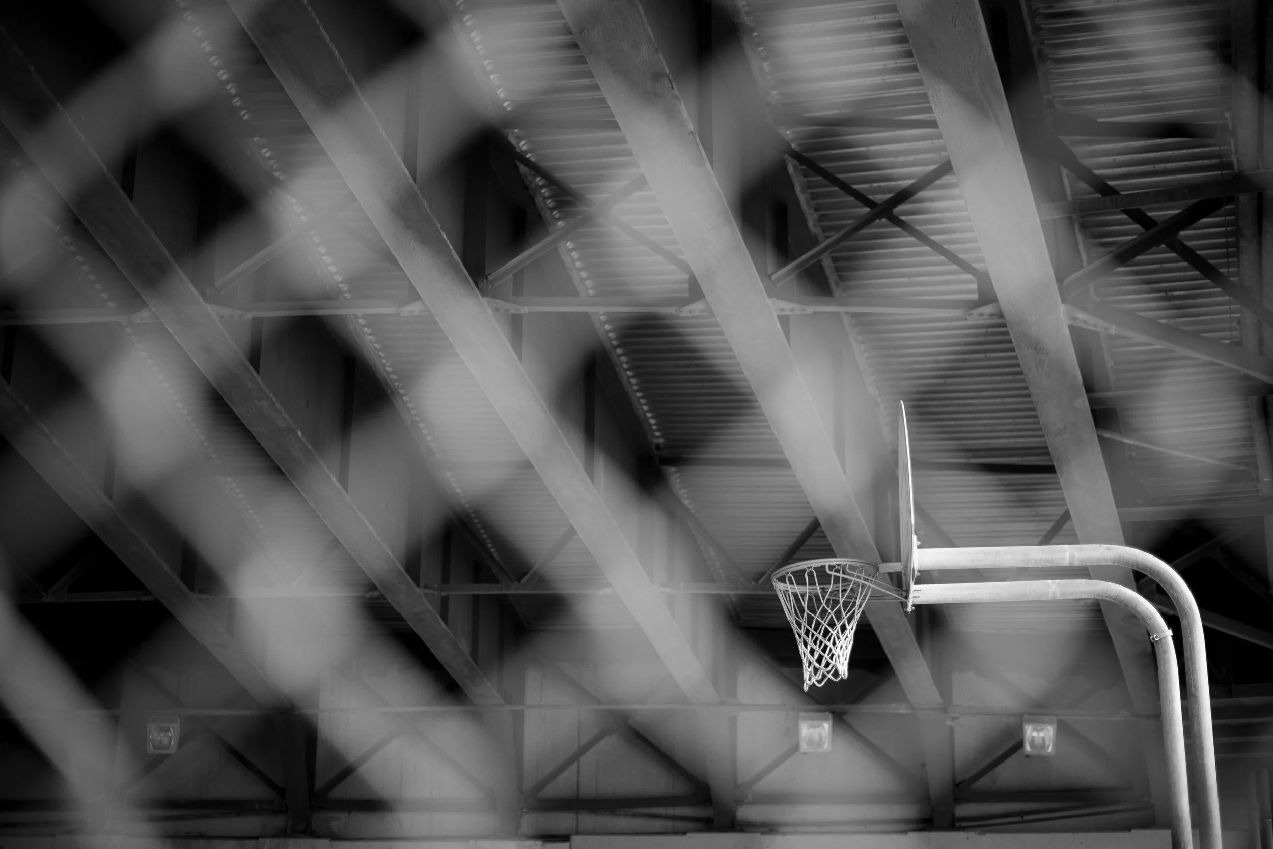 Troy-Basketball-3014.jpg