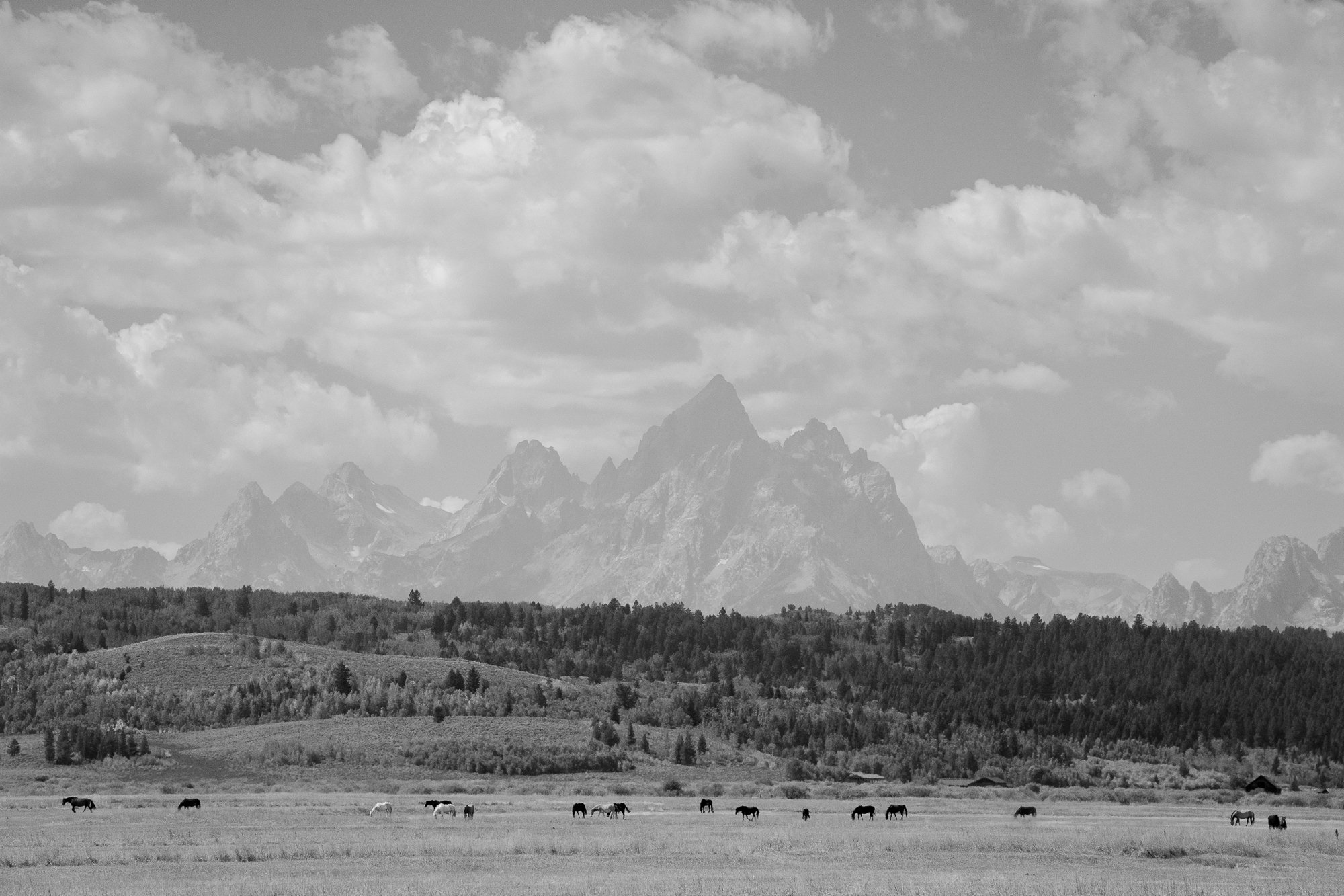  Photograph print of the Grand Teton Mountains in Wyoming 