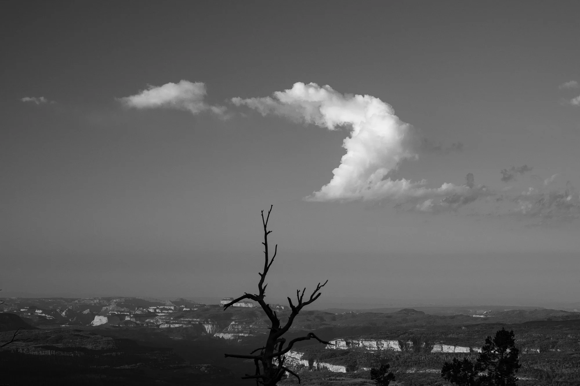  Photographs of the Great American Road Trip by Rob Hammer 