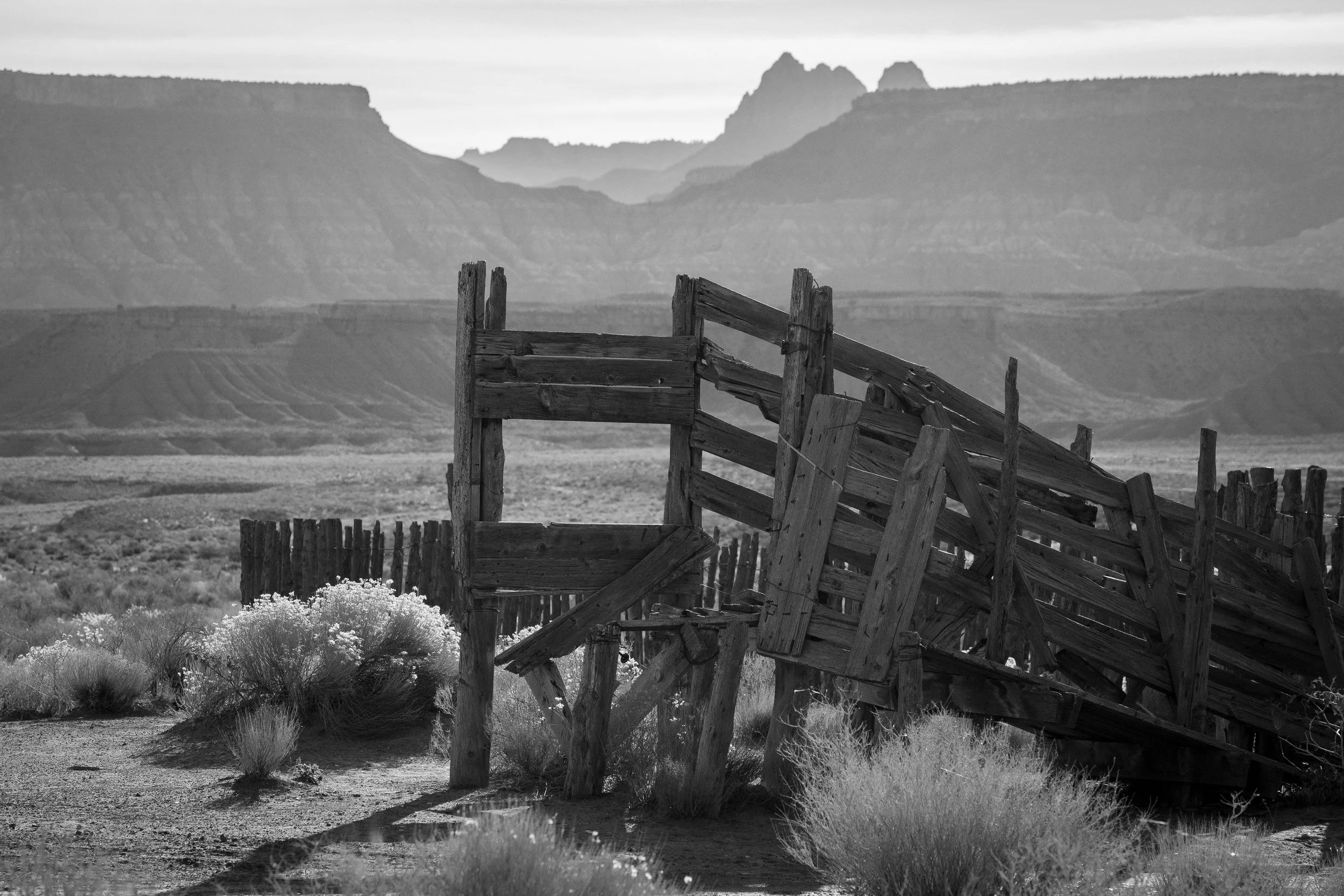  Old broken wooden cattle chute set against layered desert canyon cliffs in soft black and white tones. 