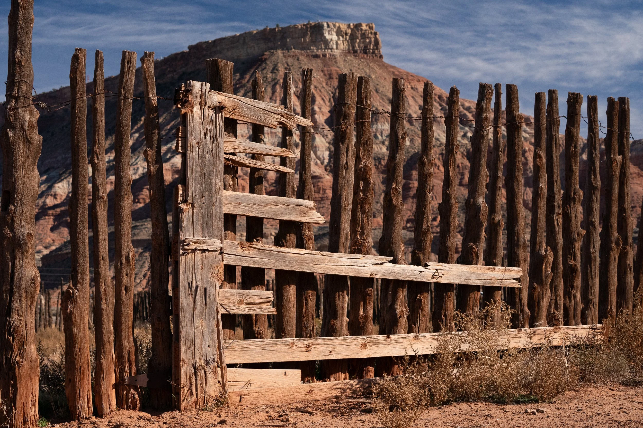  Tall vertical log fencing with a rough wooden gate in front of a red rock desert formation under clear light. 
