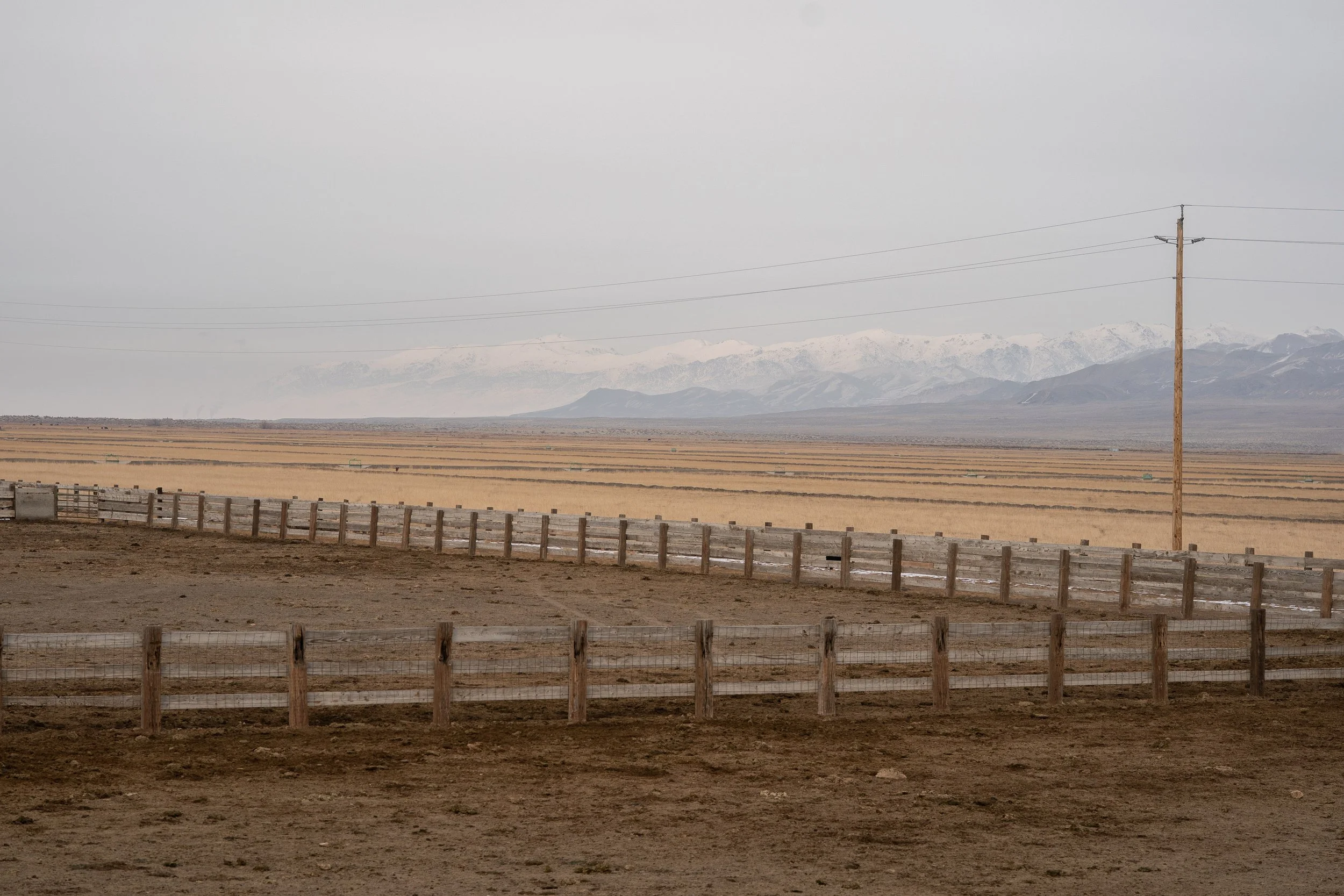  Wooden corral fencing stretches across an open Nevada valley with distant snow-covered mountains under a muted sky. 