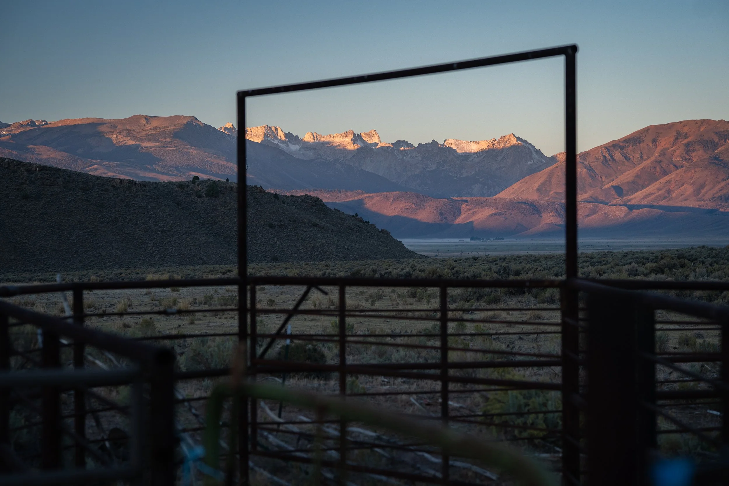  Metal corral gate frames a view of the Eastern Sierra mountains glowing in early morning light. 