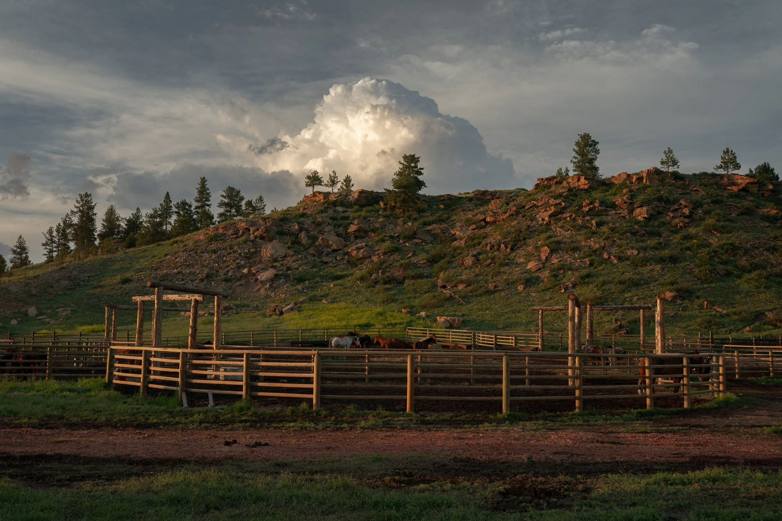  Wide corral with horses inside set against green hills and dramatic storm clouds in soft evening light. 