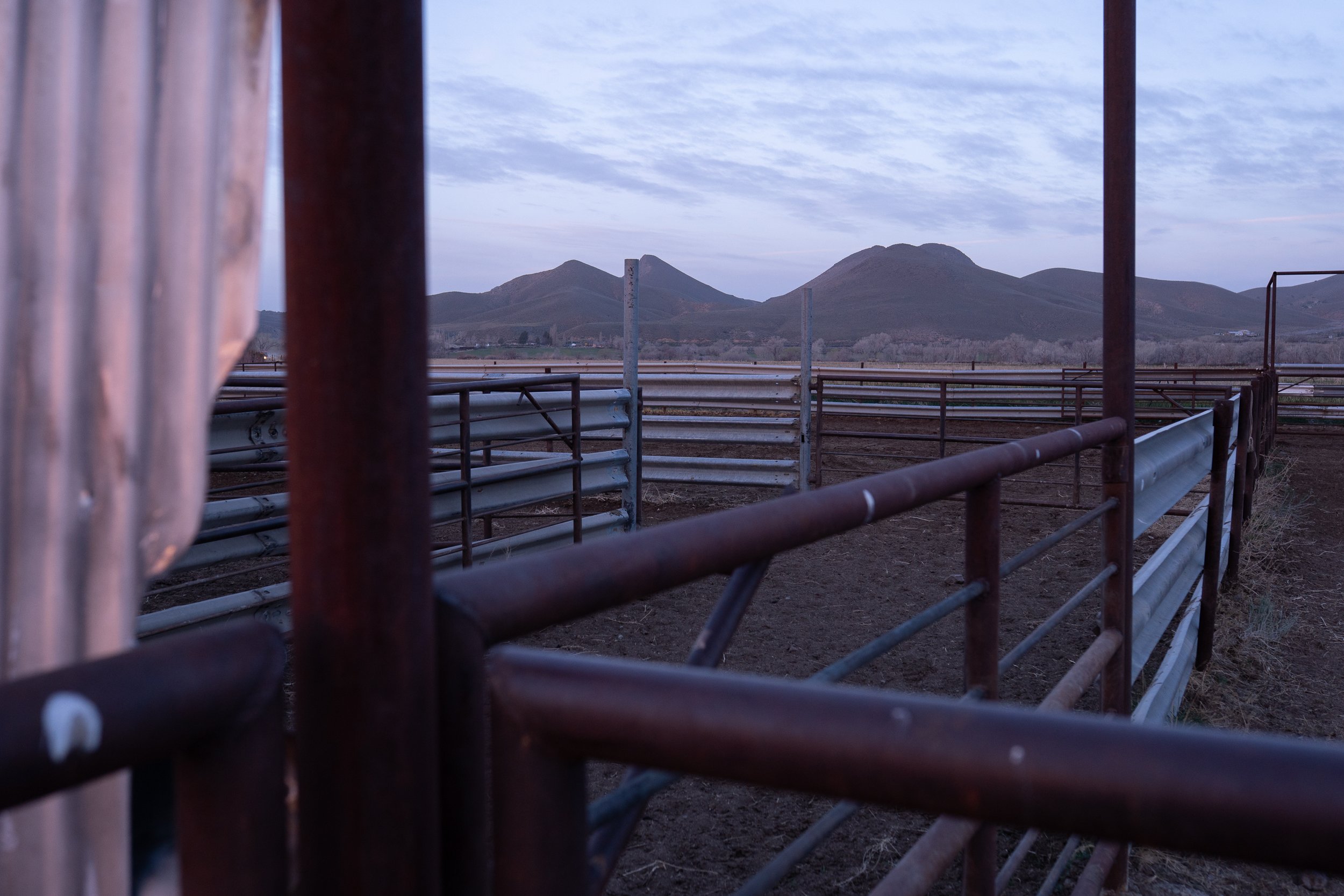  Interior view of metal corral gates with a quiet ranch yard and distant hills at dusk. 
