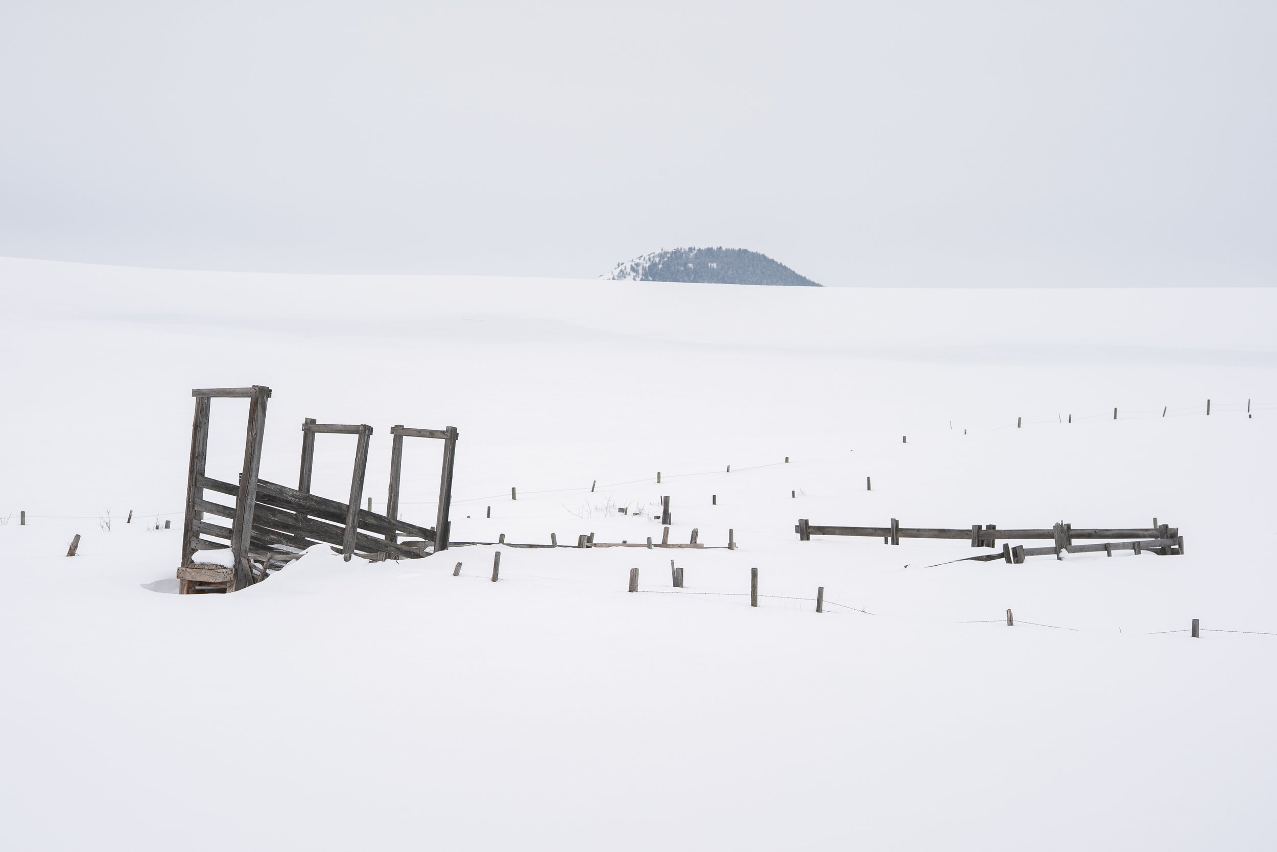  Minimal winter scene of a snow-covered corral fence disappearing into a white landscape with a distant tree-covered hill. 