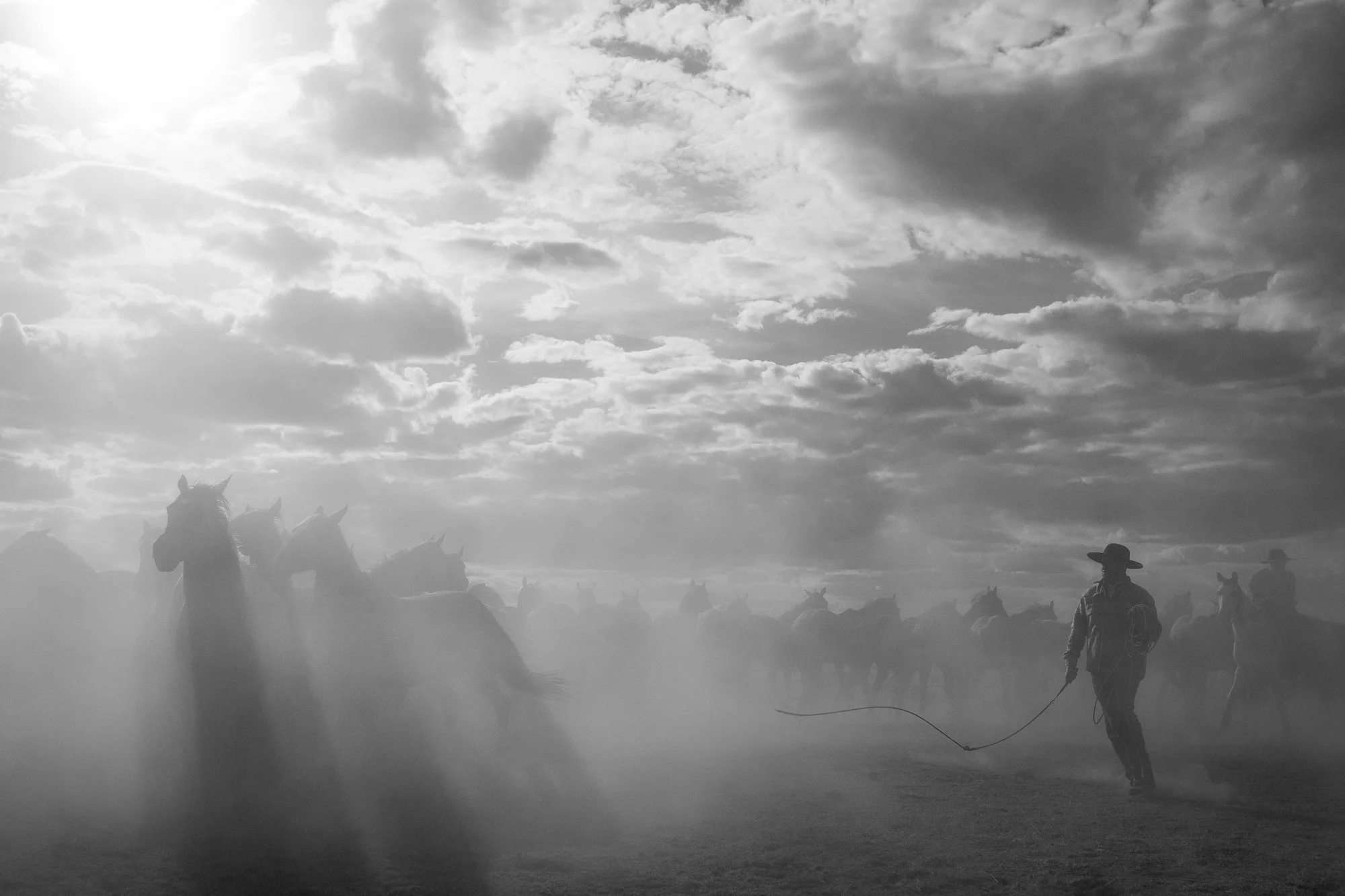  Black and white photographs of a buckaroo working the cavvy on a historic ranch in Nevada  