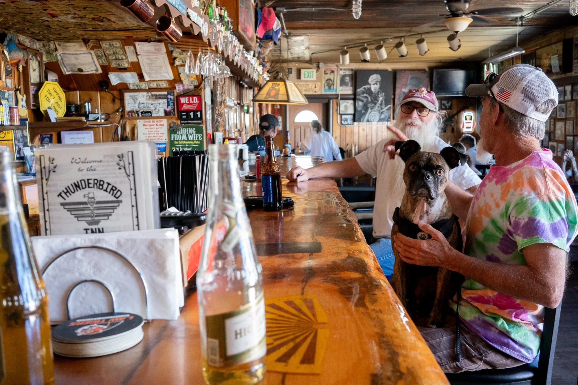  A dog sitting on the lap of a patron at the bar of the Thunderbird Inn in Florissant, Colorado  