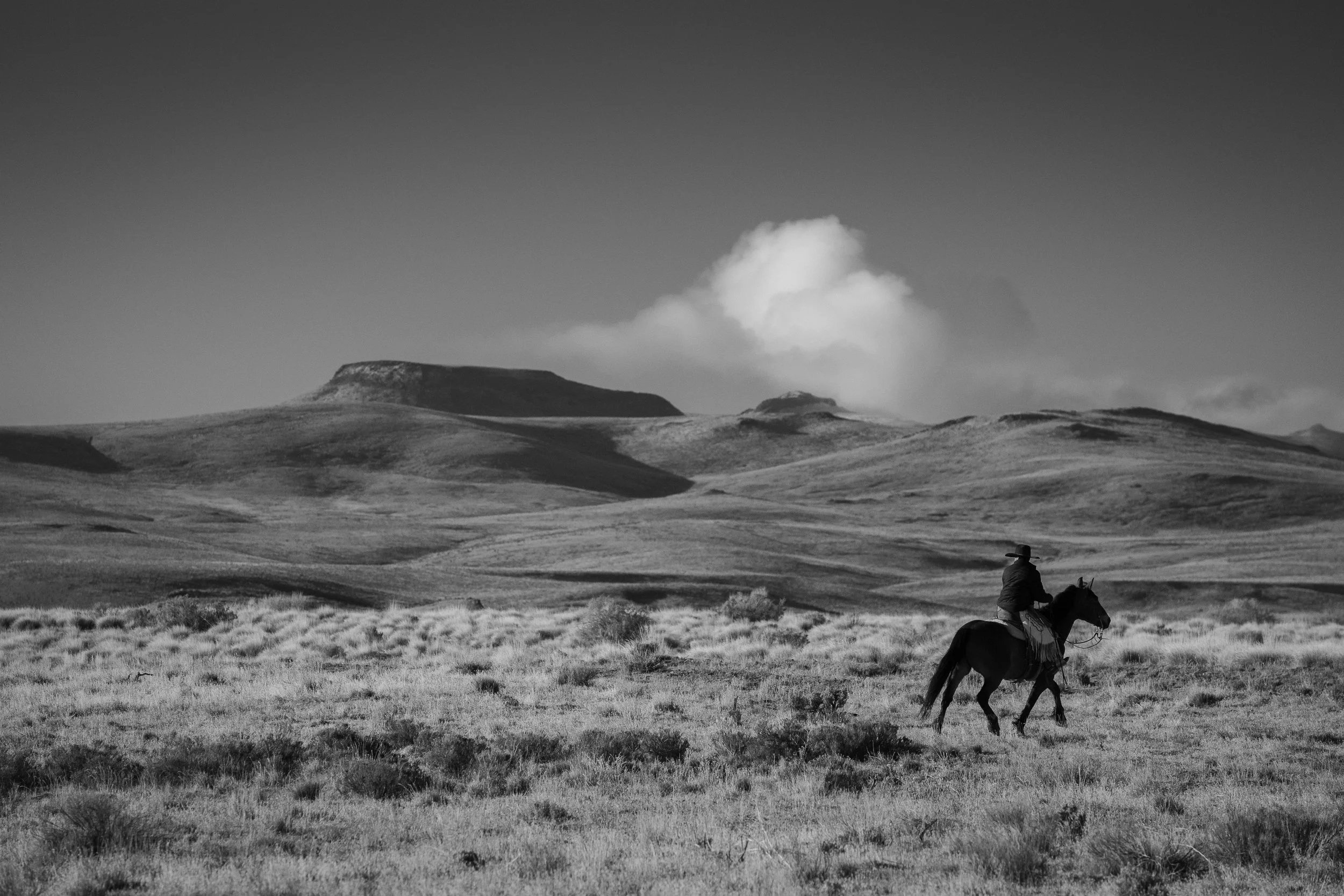 Cowboy-00076.jpg