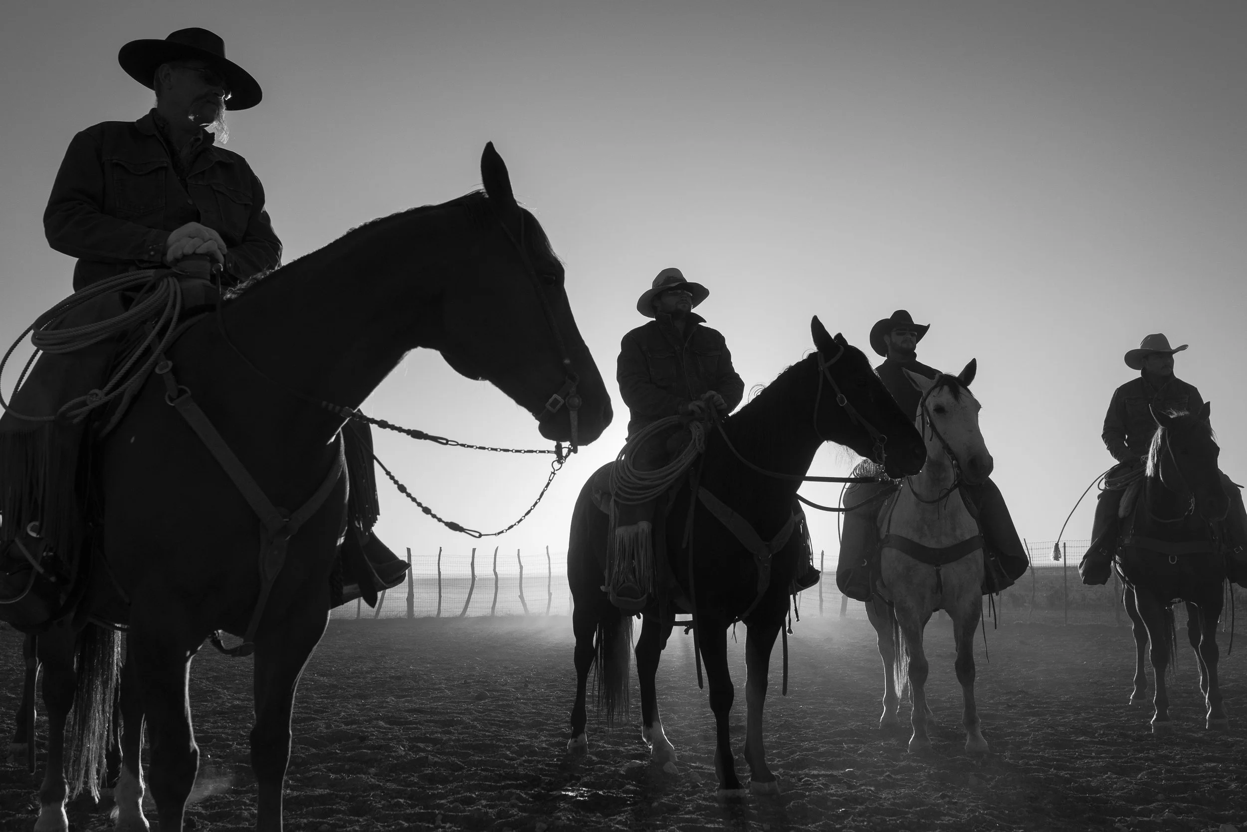 Cowboy-00660.jpg