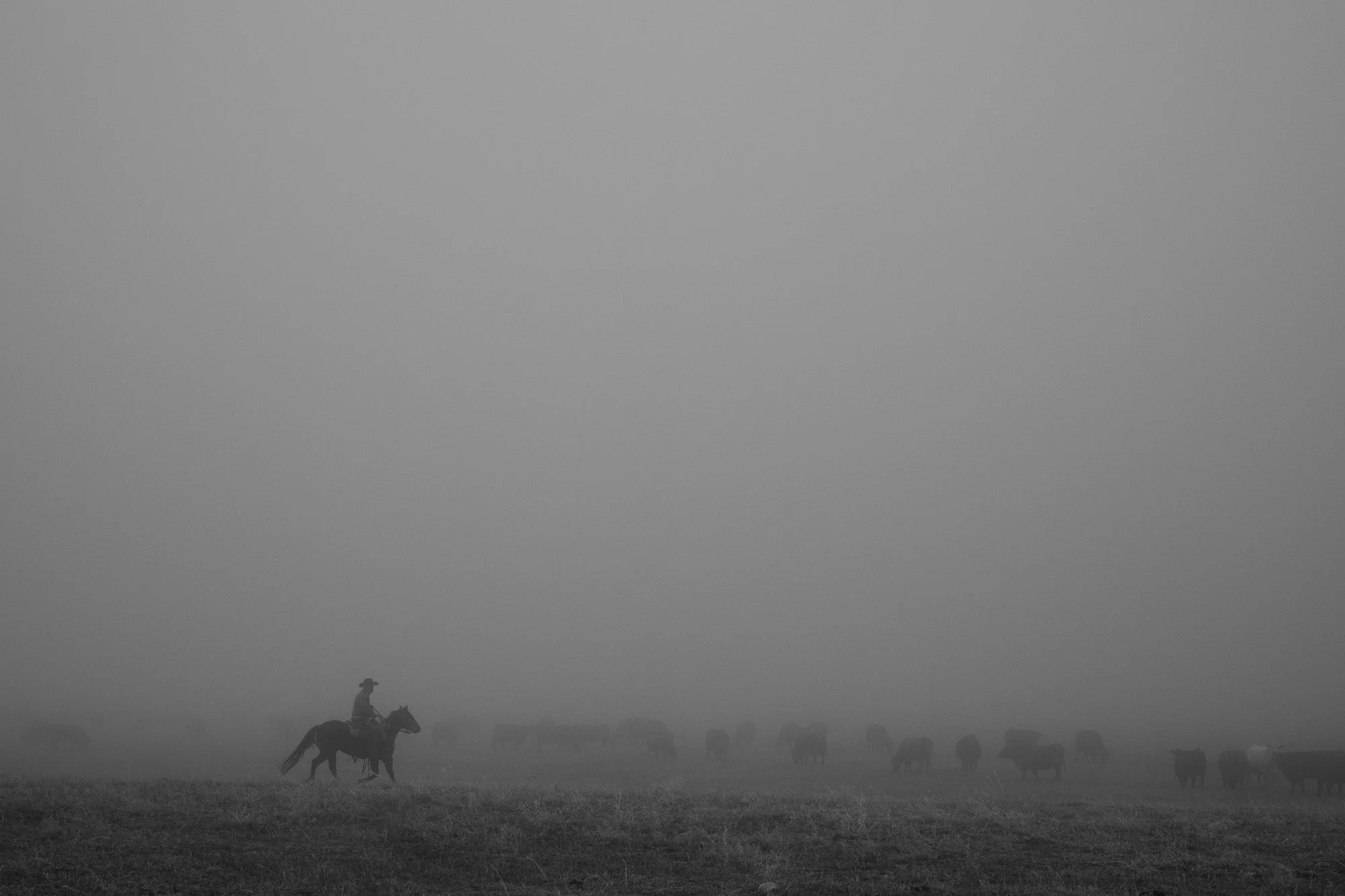 Cowboy-01243.jpg