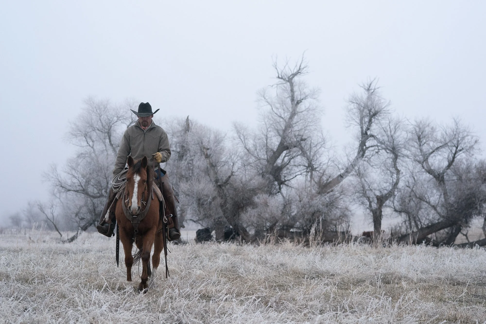 Cowboy-01470.jpg