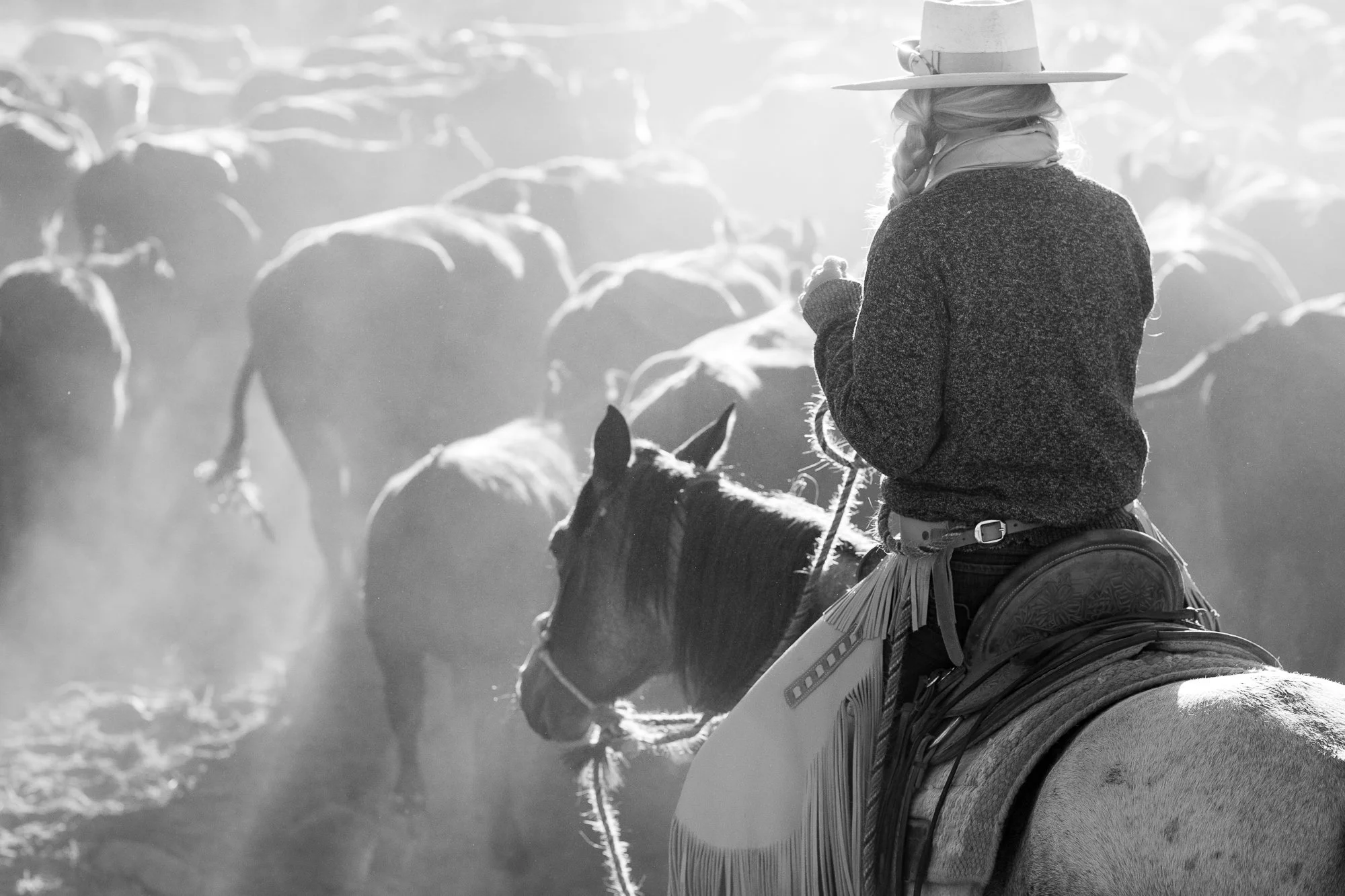 Cowboy-02301.jpg