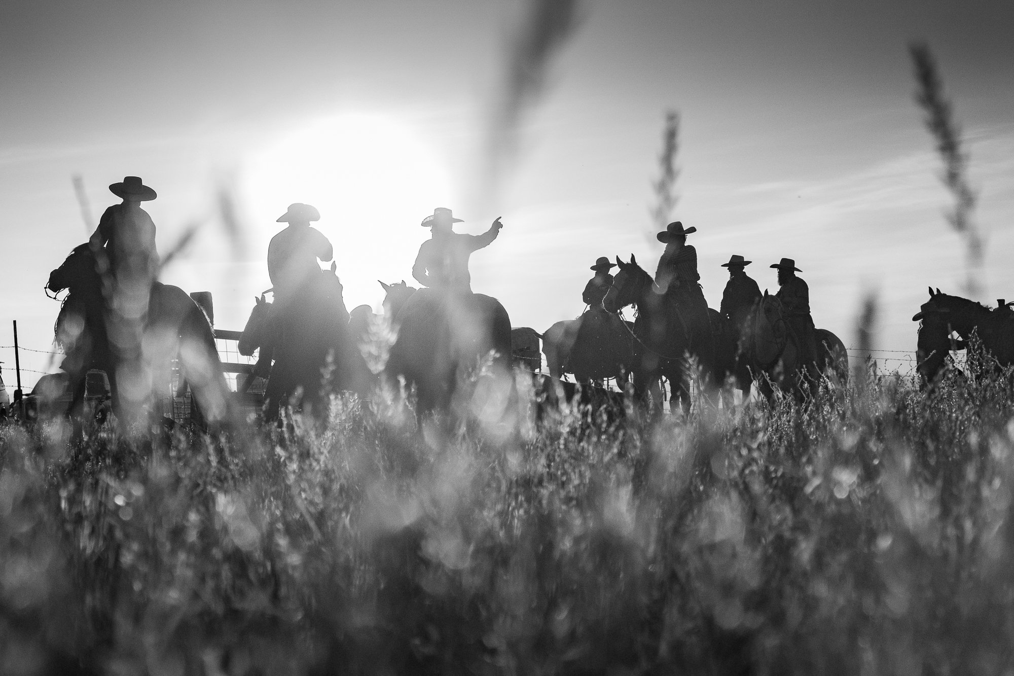 Cowboy-03649.jpg