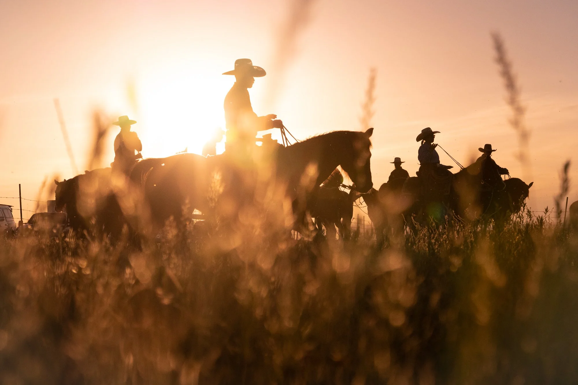 Cowboy-03653.jpg