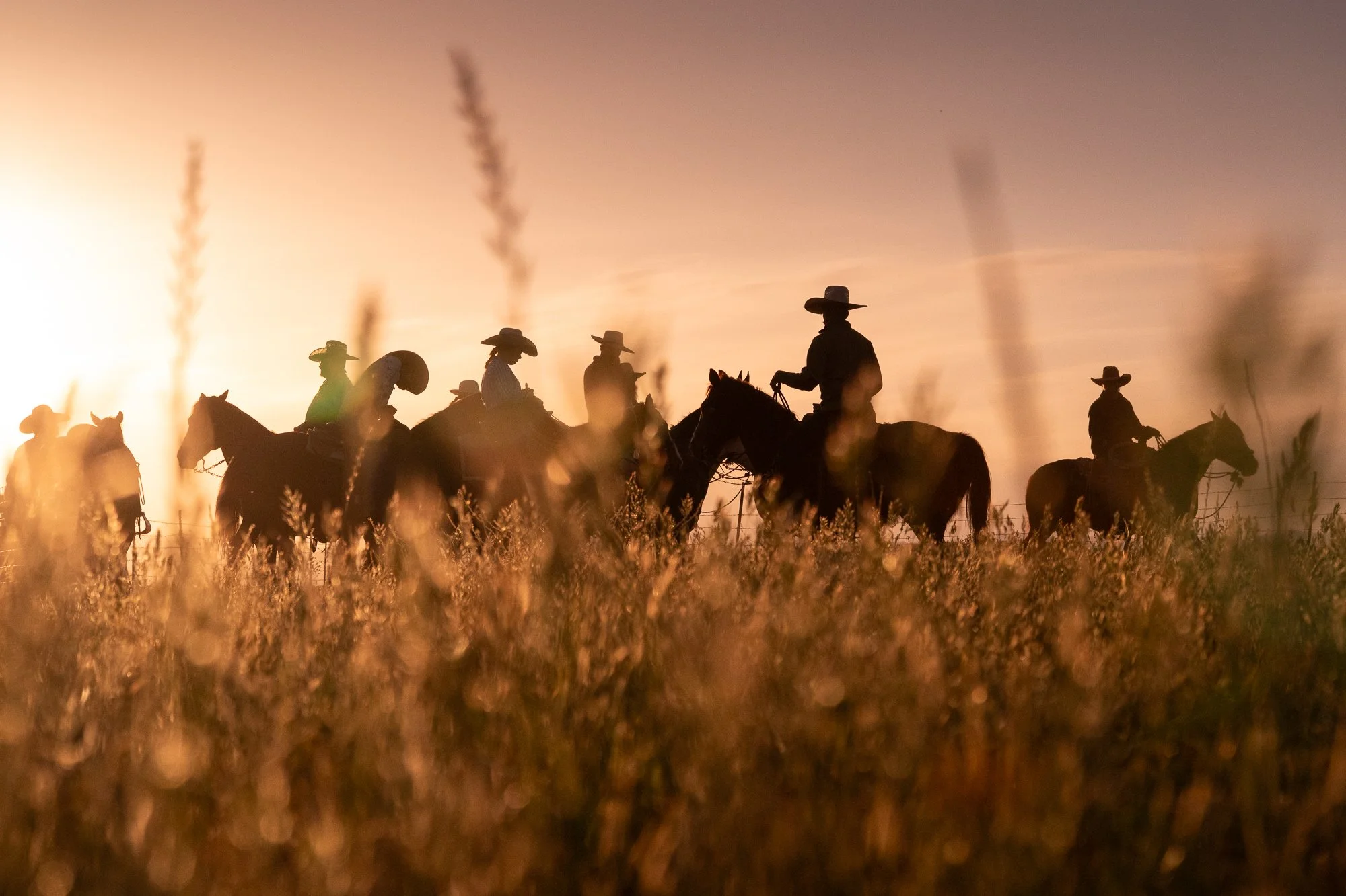 Cowboy-03657.jpg