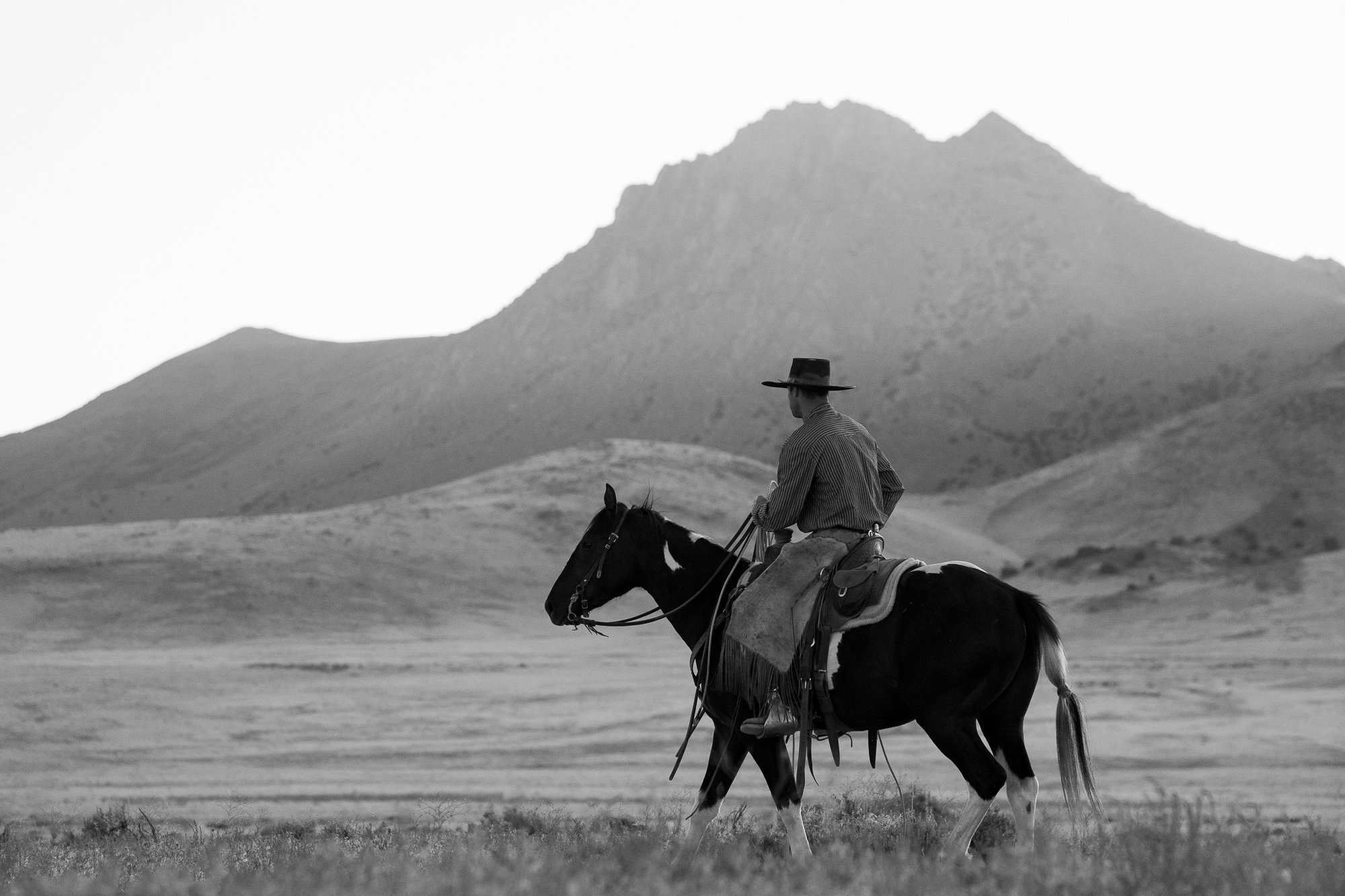 Cowboy-04873.jpg