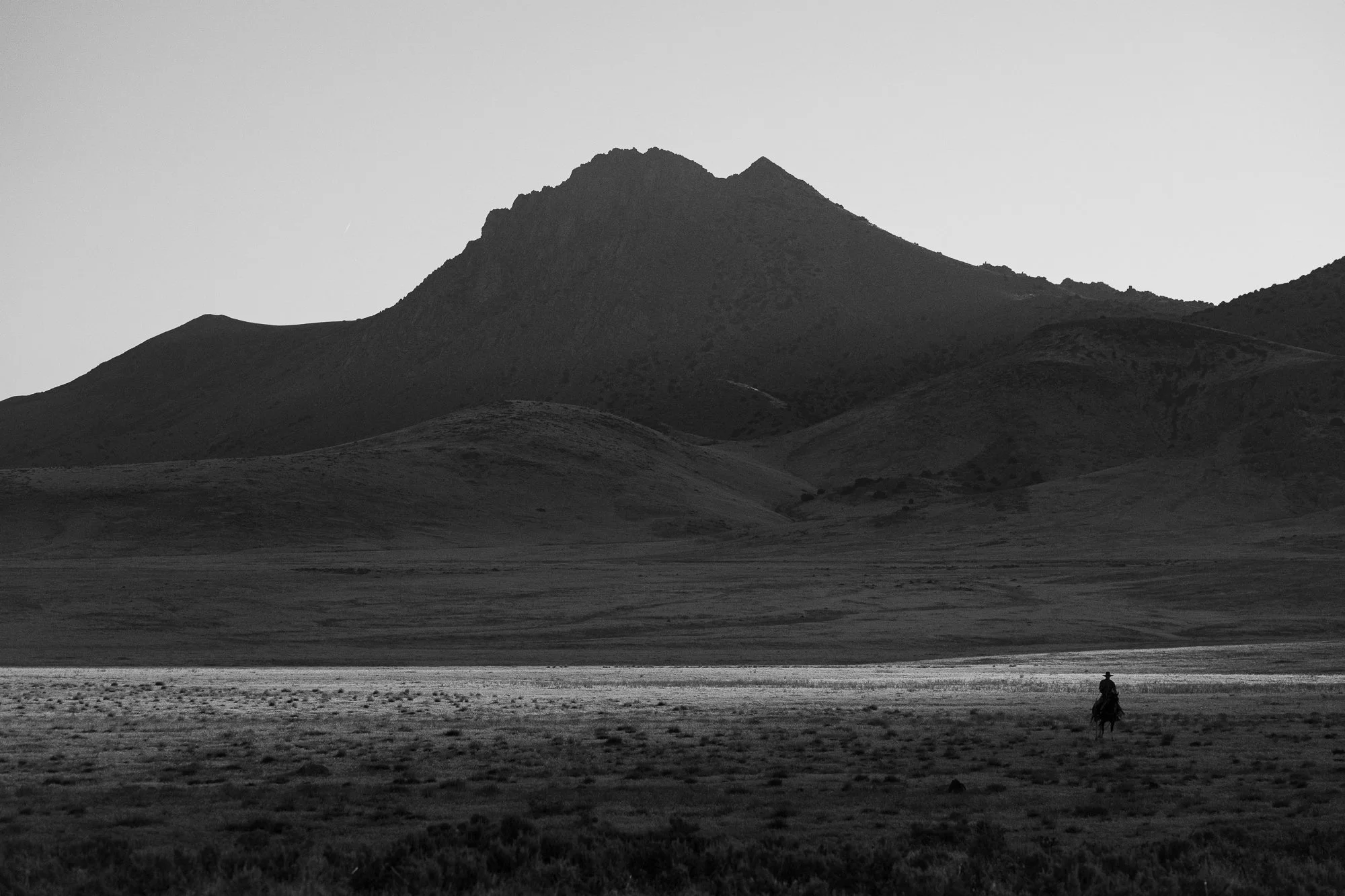 Cowboy-04920.jpg