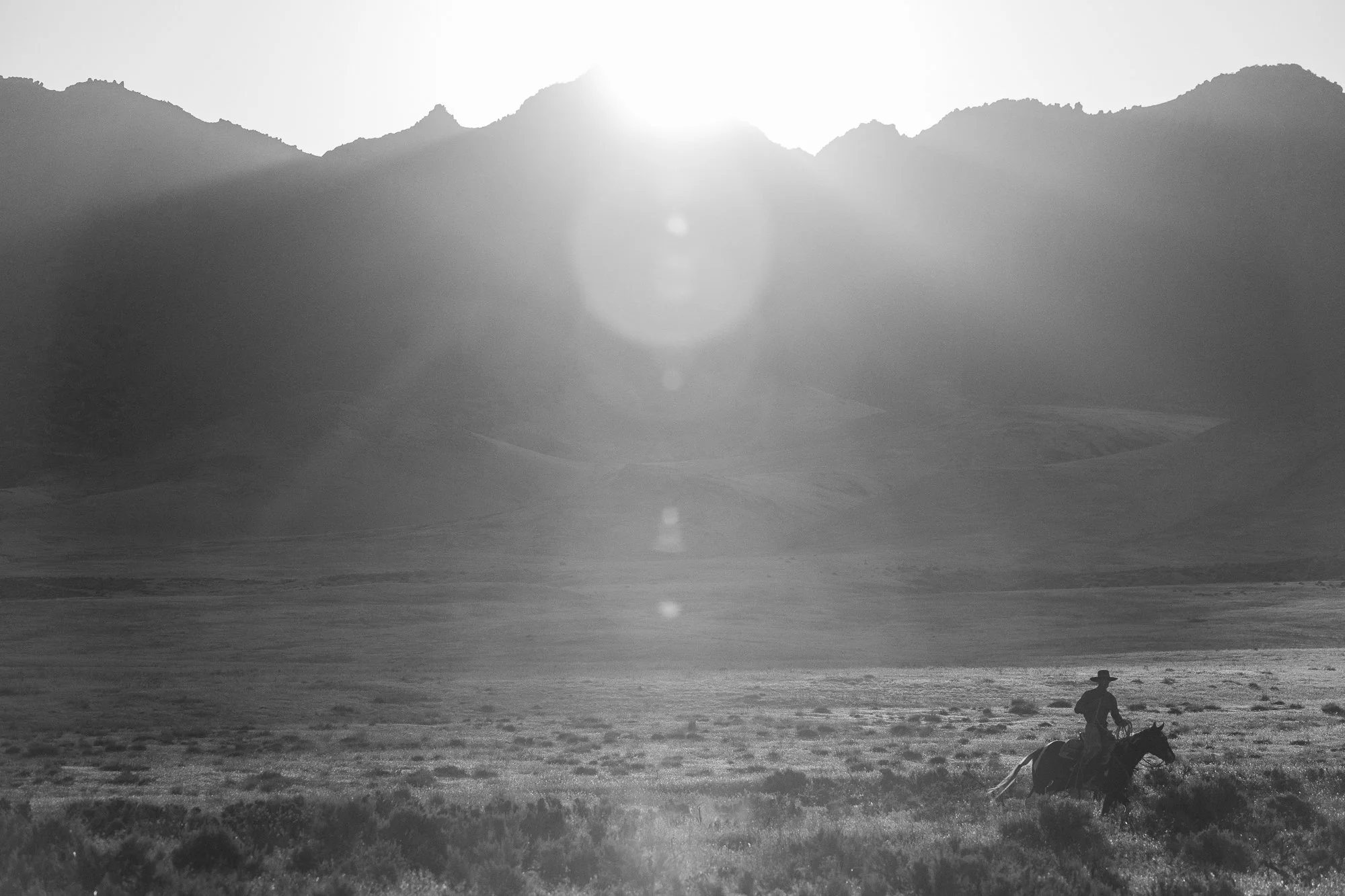 Cowboy-04927-2.jpg