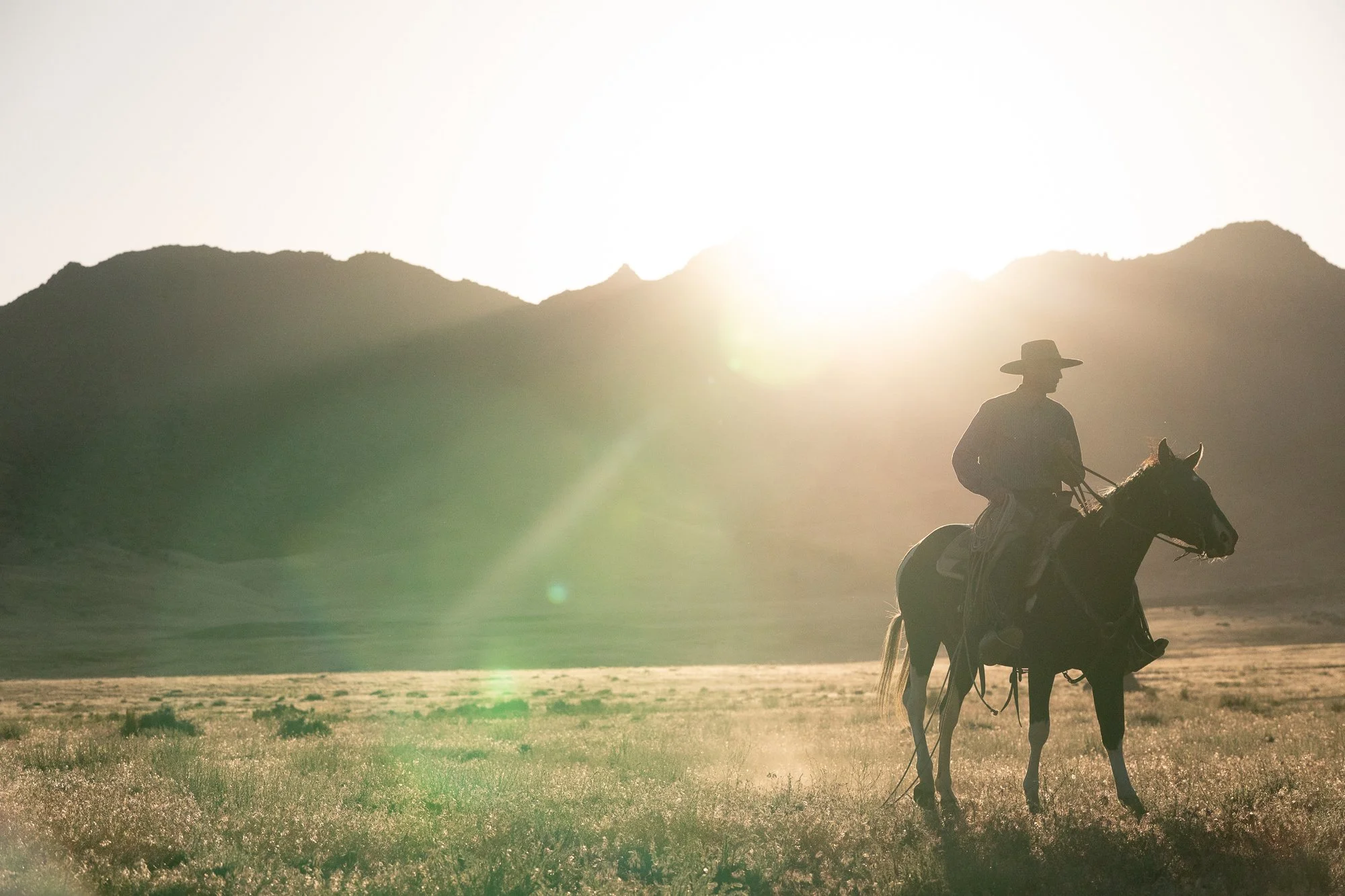 Cowboy-04932.jpg
