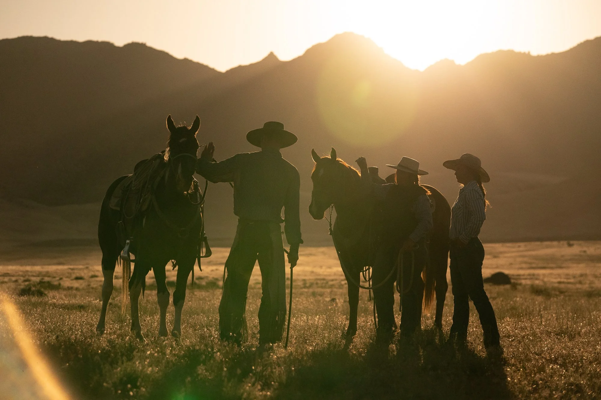 Cowboy-04942.jpg