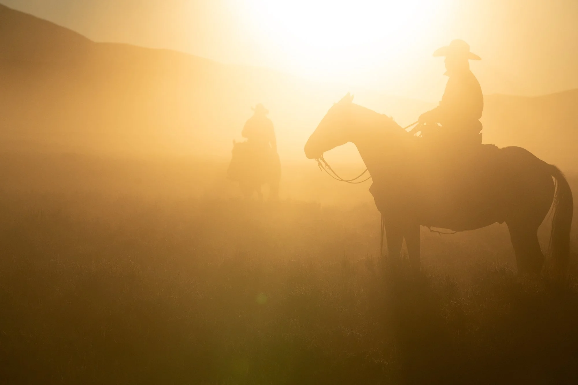 Cowboy-05087.jpg