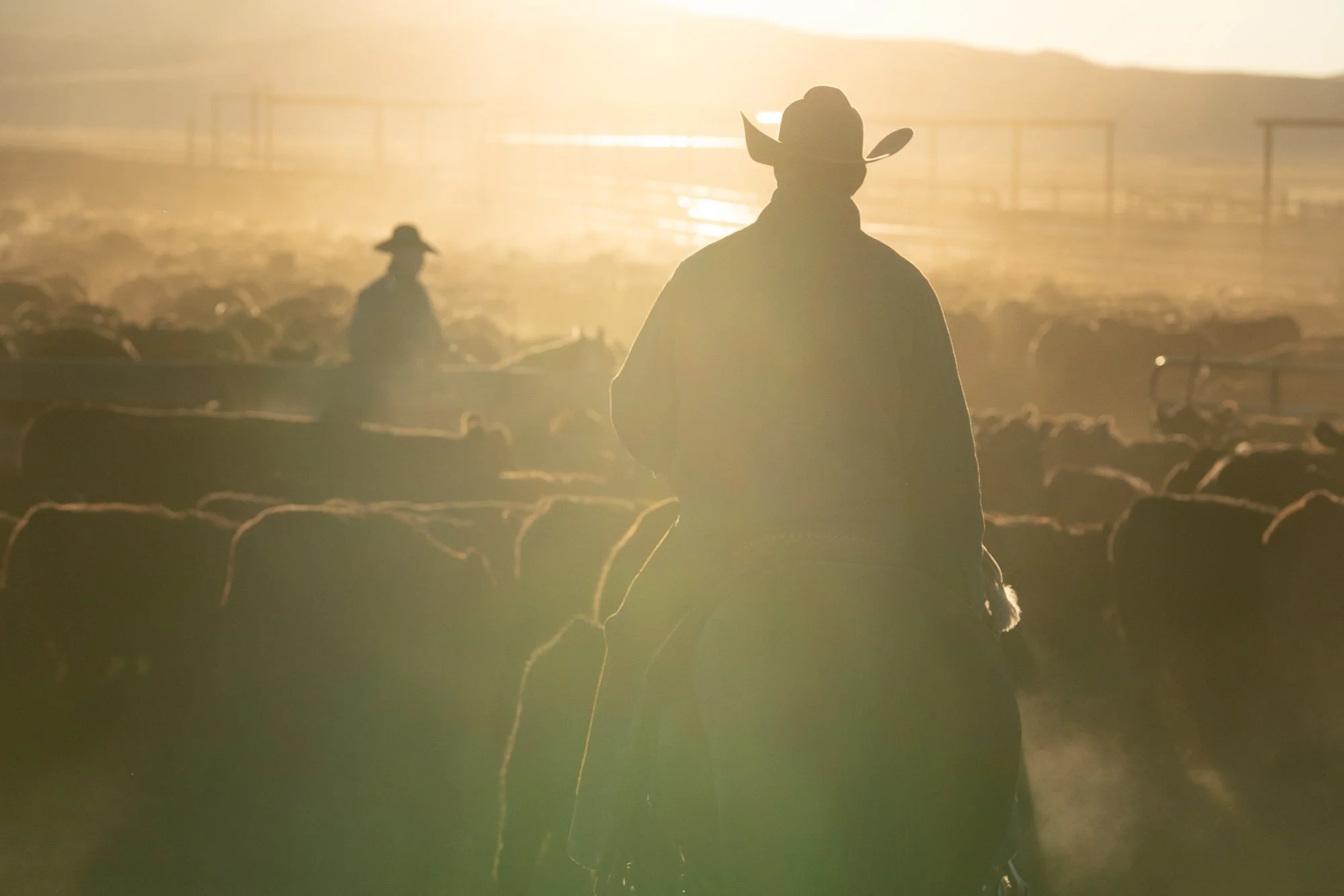 Cowboy-05220.jpg
