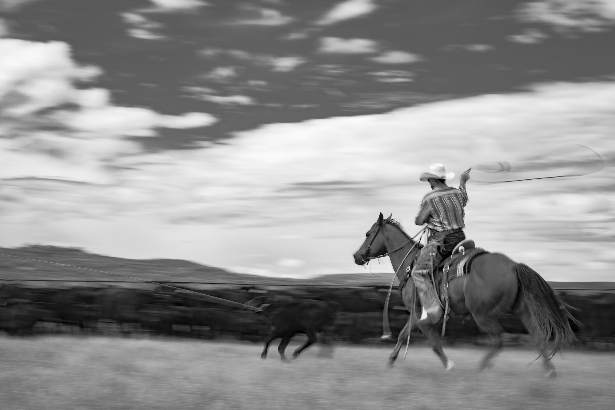 Cowboy-05235.jpg