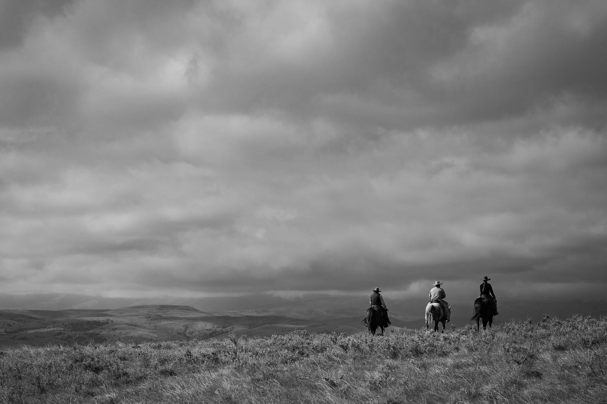 Cowboy-05646.jpg