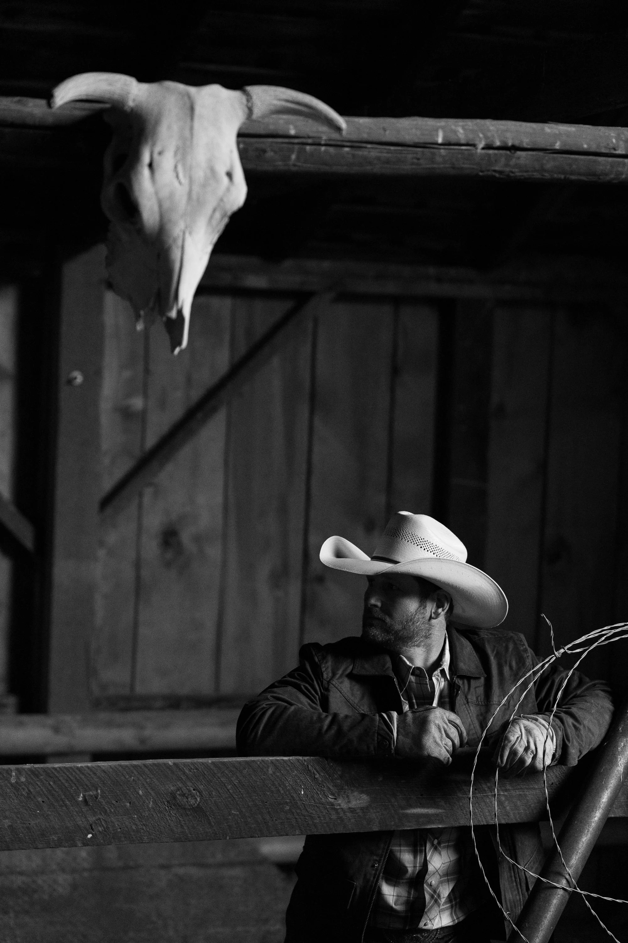 Cowboy-06446.jpg