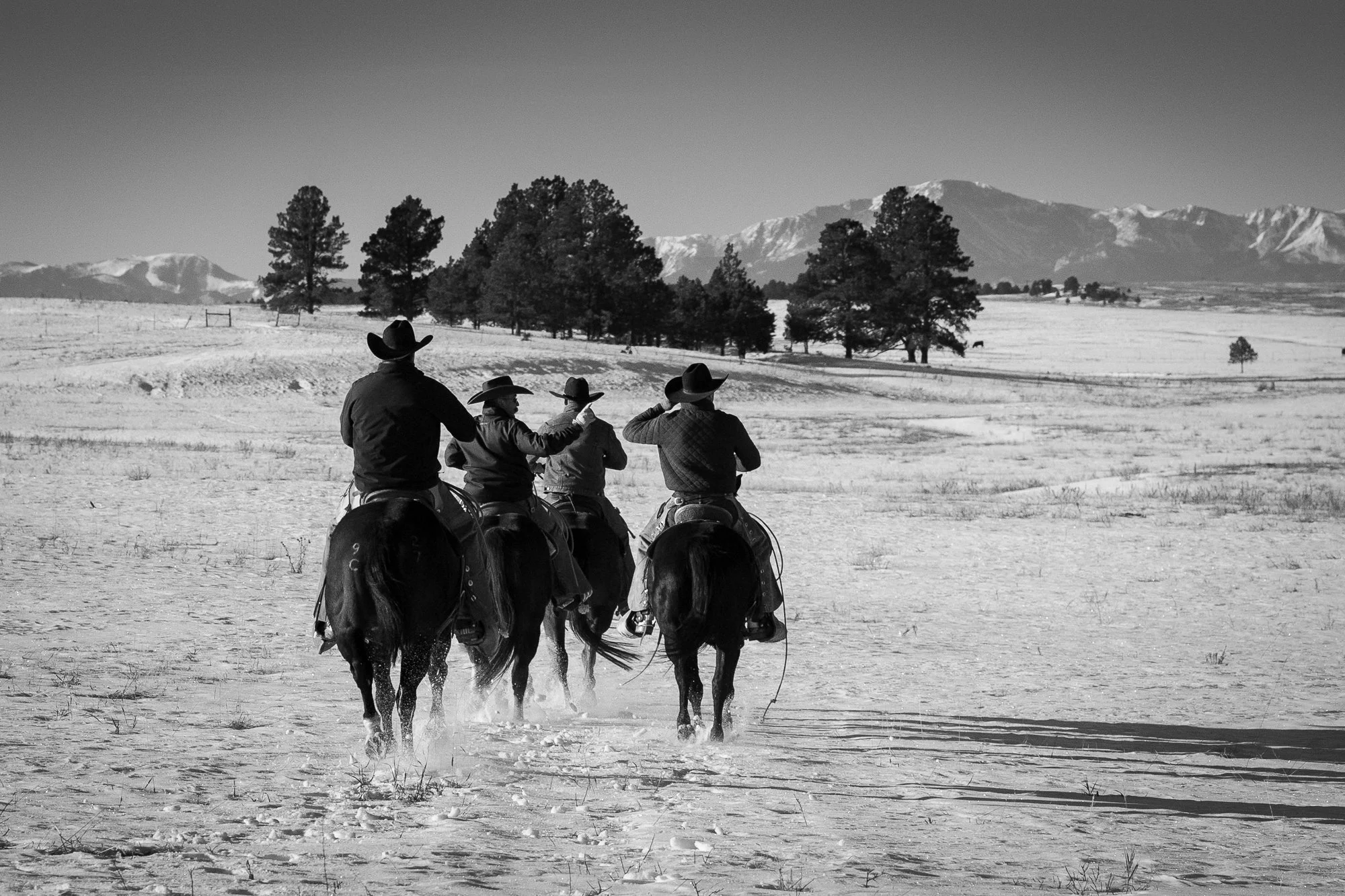 Cowboy-07495.jpg